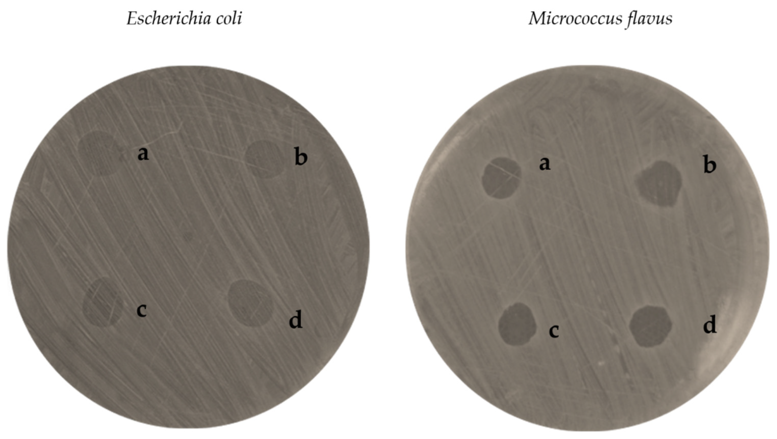 Pharmaceutics 17 01016 g007