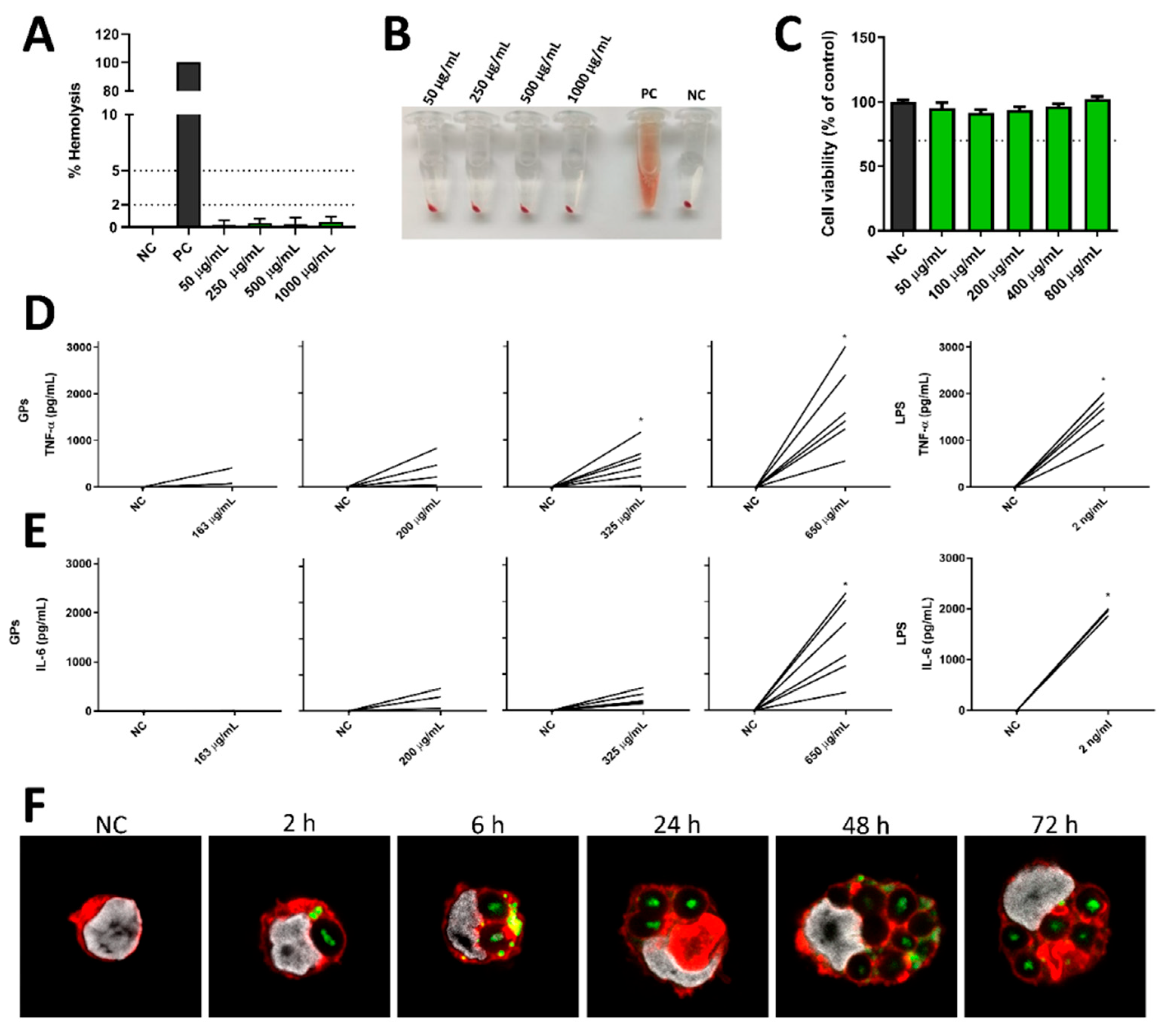 Pharmaceutics 17 01032 g003 Pharmaceutics 17 01032 g003