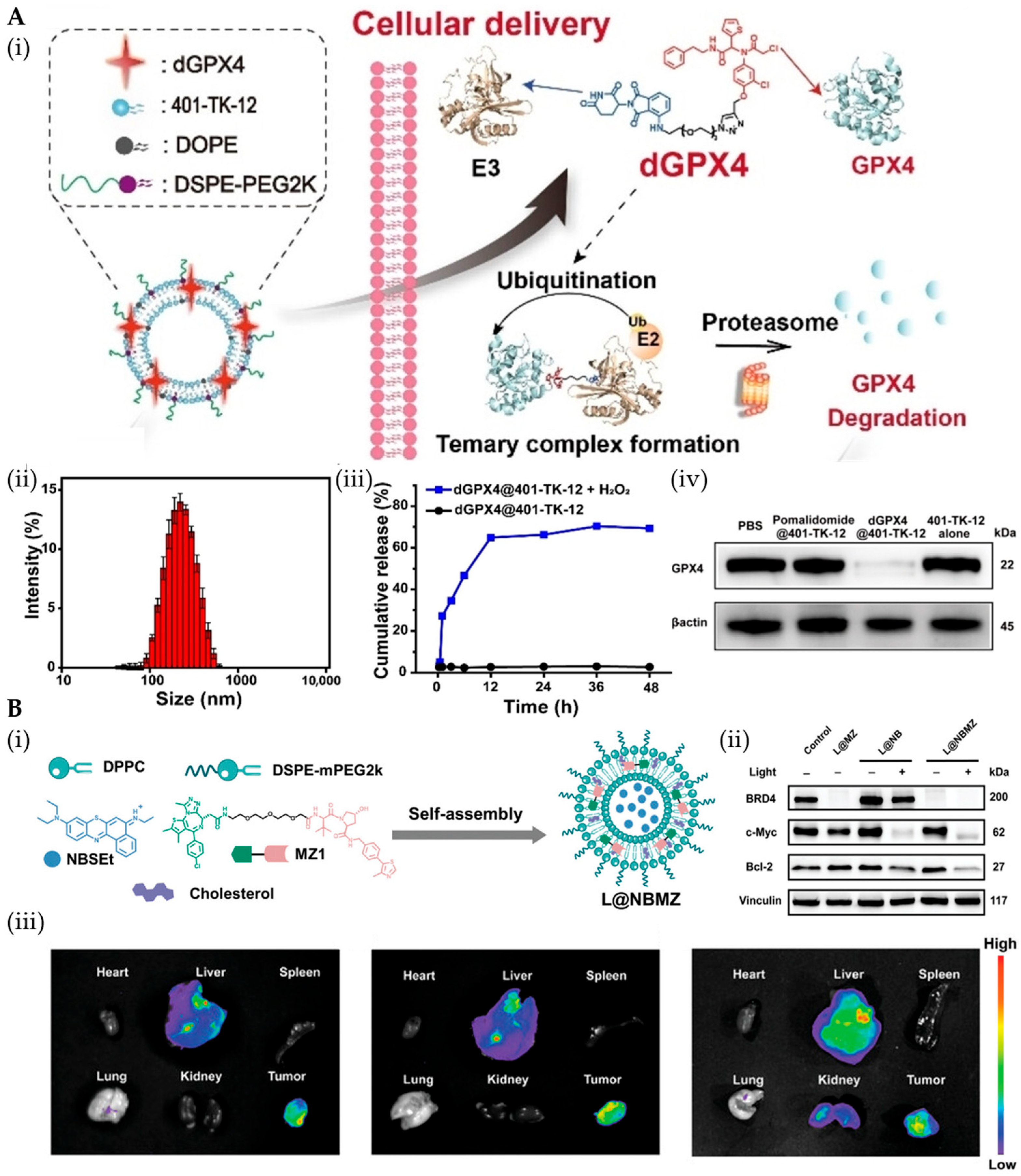 Pharmaceutics 17 01037 g003