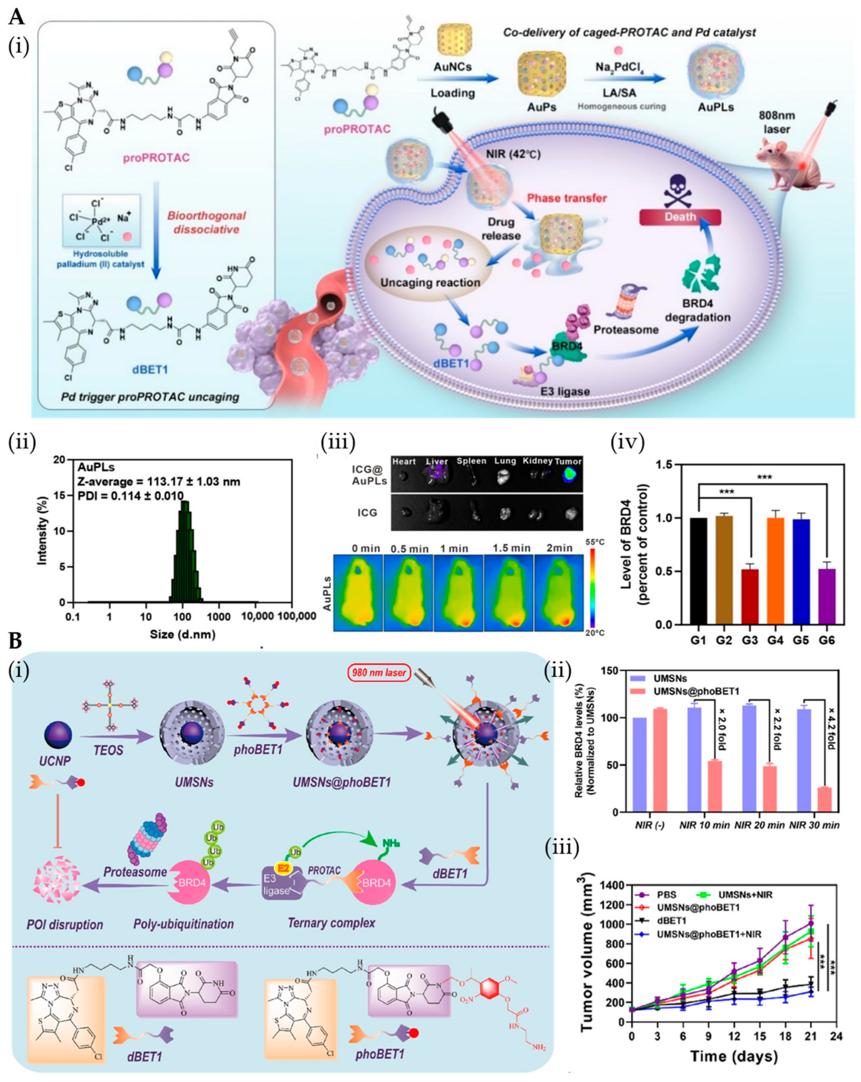 Pharmaceutics 17 01037 g005