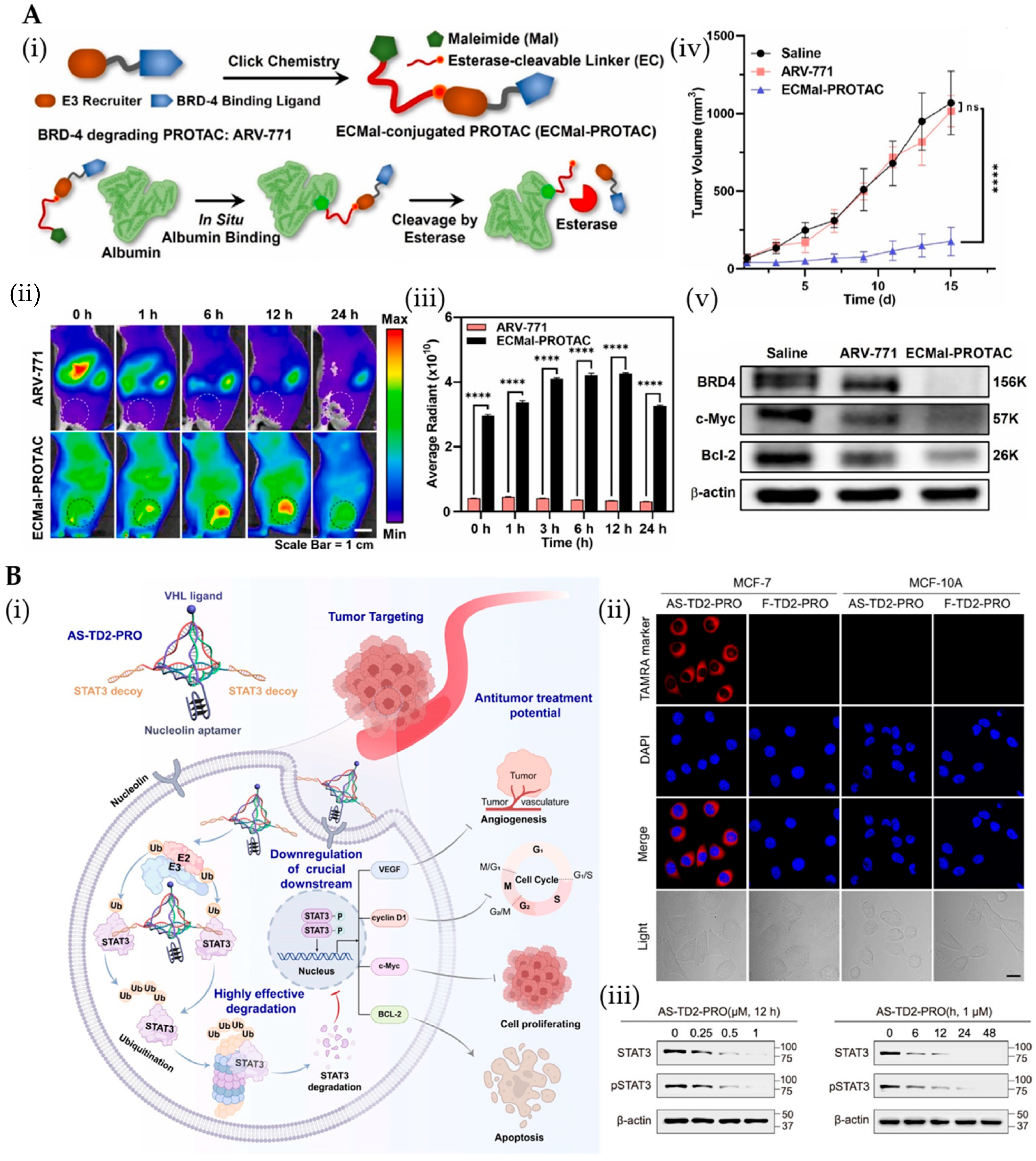 Pharmaceutics 17 01037 g006