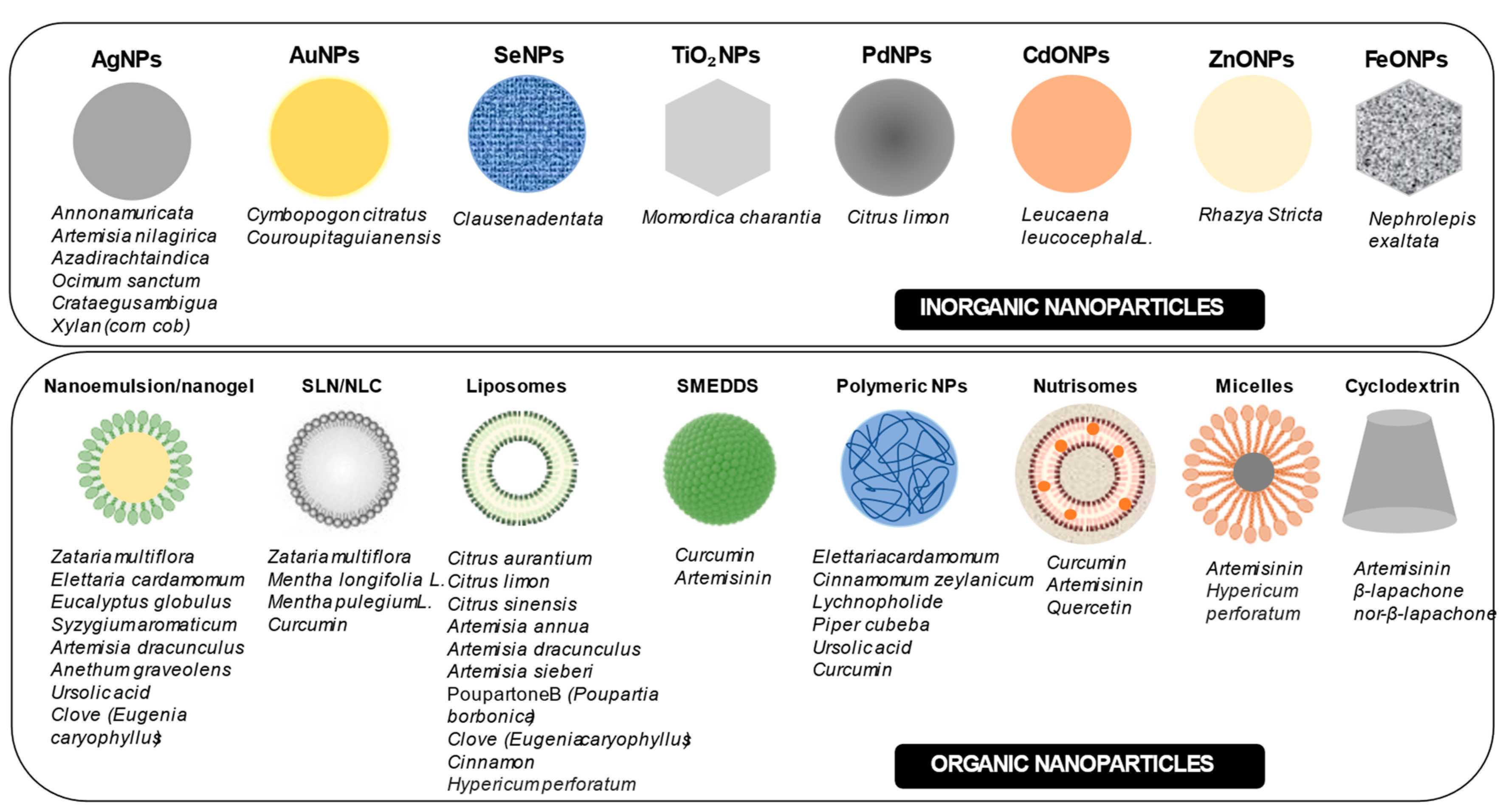 Pharmaceutics 17 01043 g014 Pharmaceutics 17 01043 g014