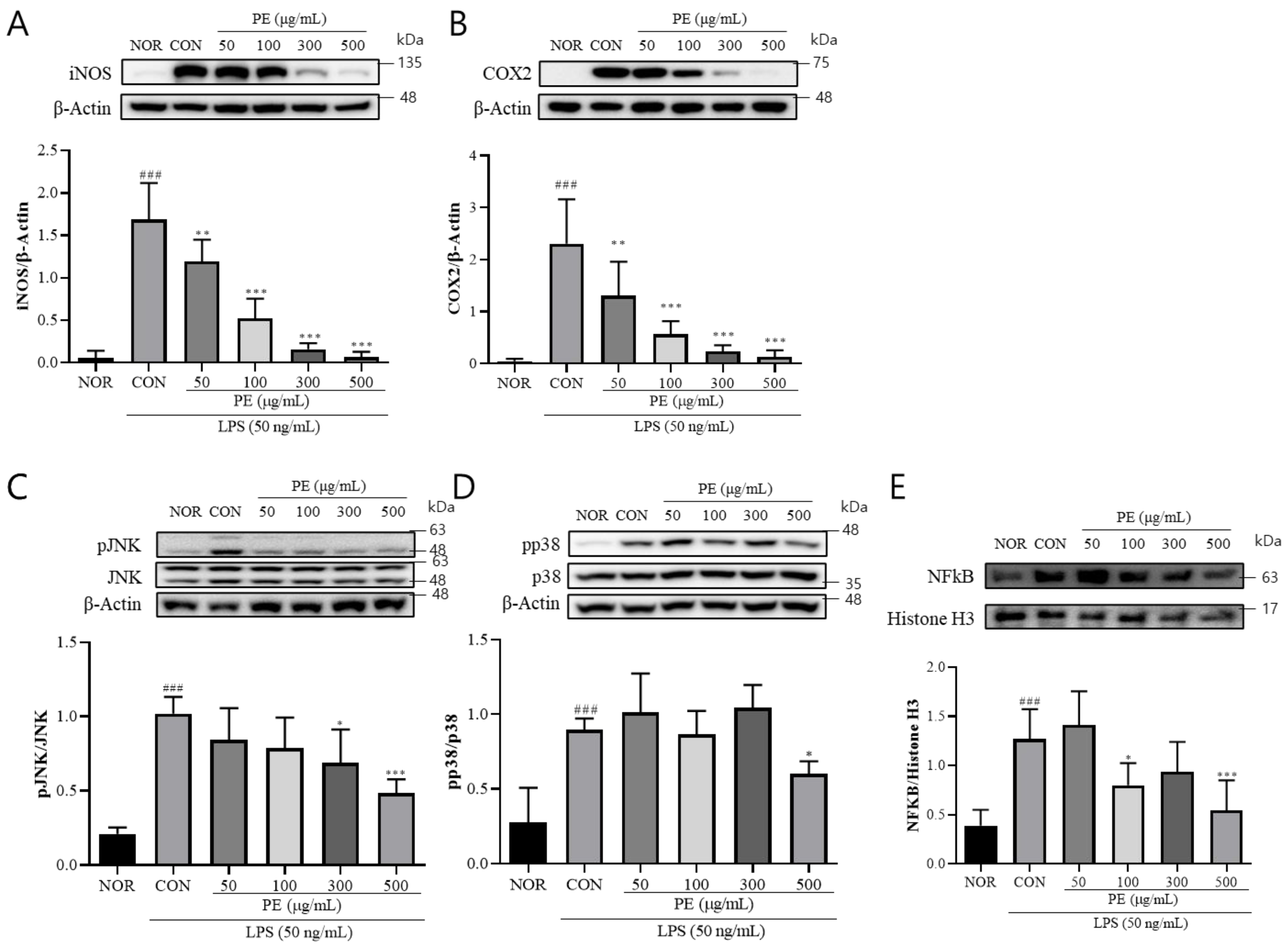Pharmaceutics 17 01045 g002 Pharmaceutics 17 01045 g002