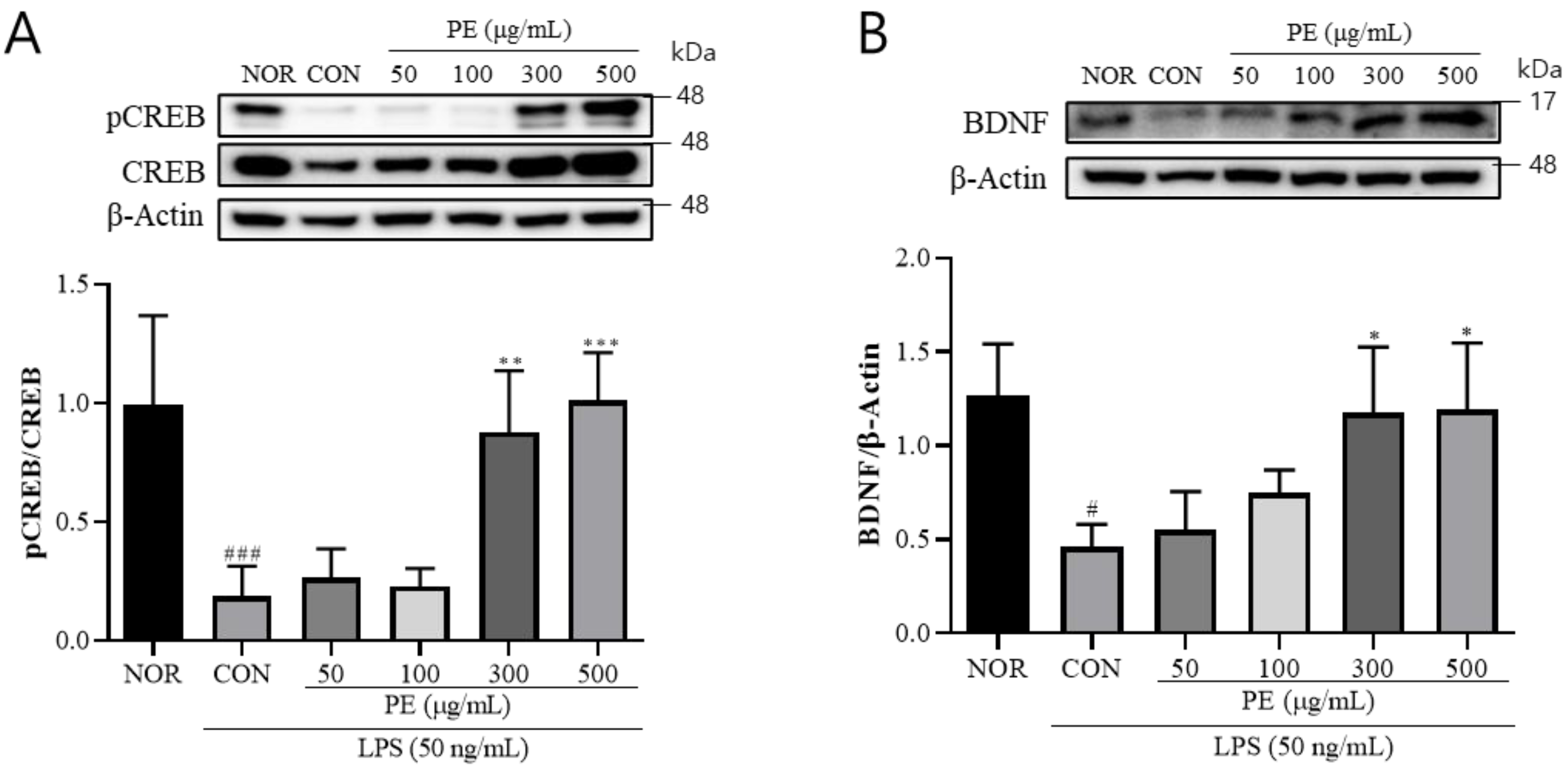 Pharmaceutics 17 01045 g003 Pharmaceutics 17 01045 g003