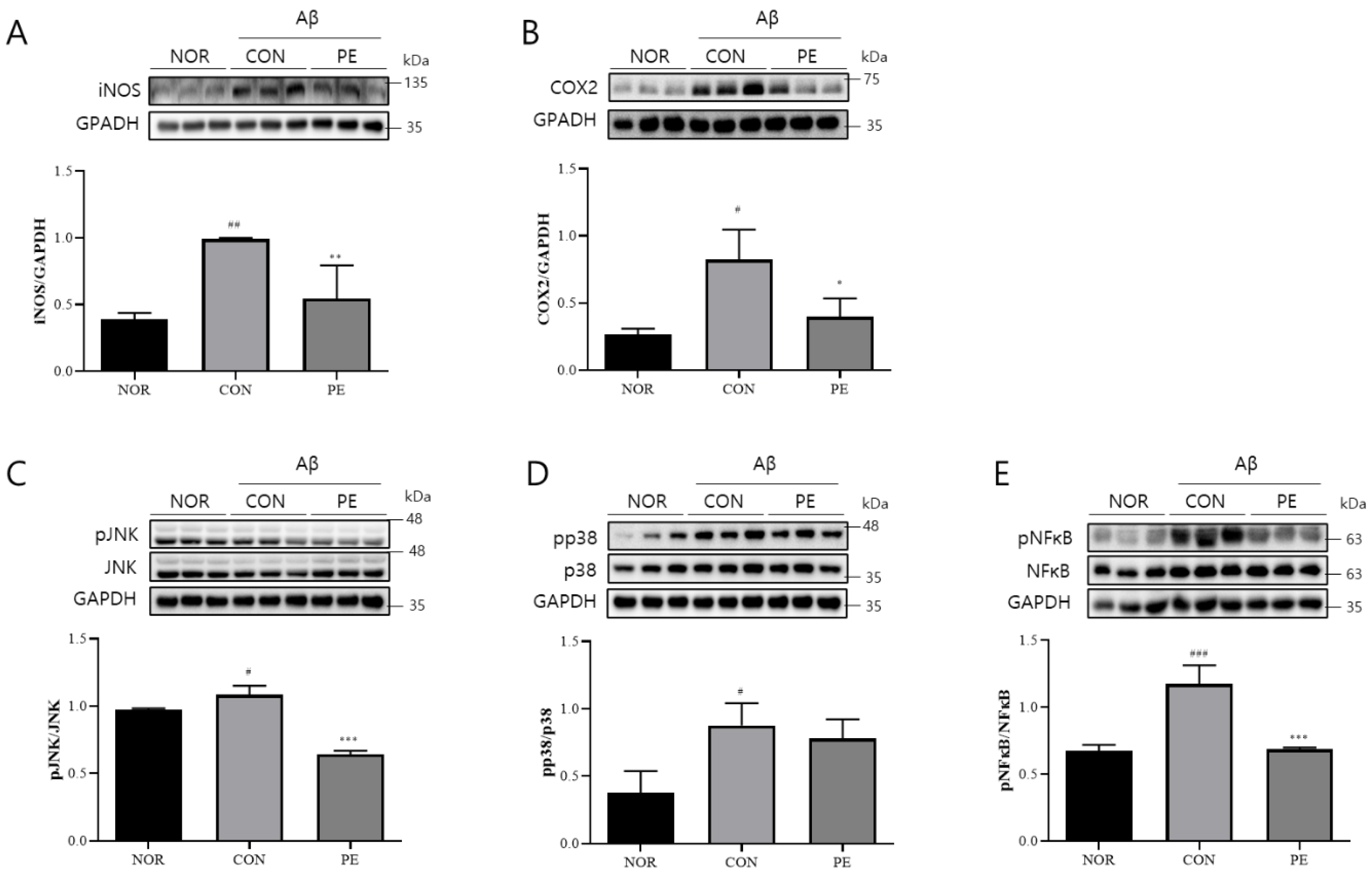 Pharmaceutics 17 01045 g008 Pharmaceutics 17 01045 g008