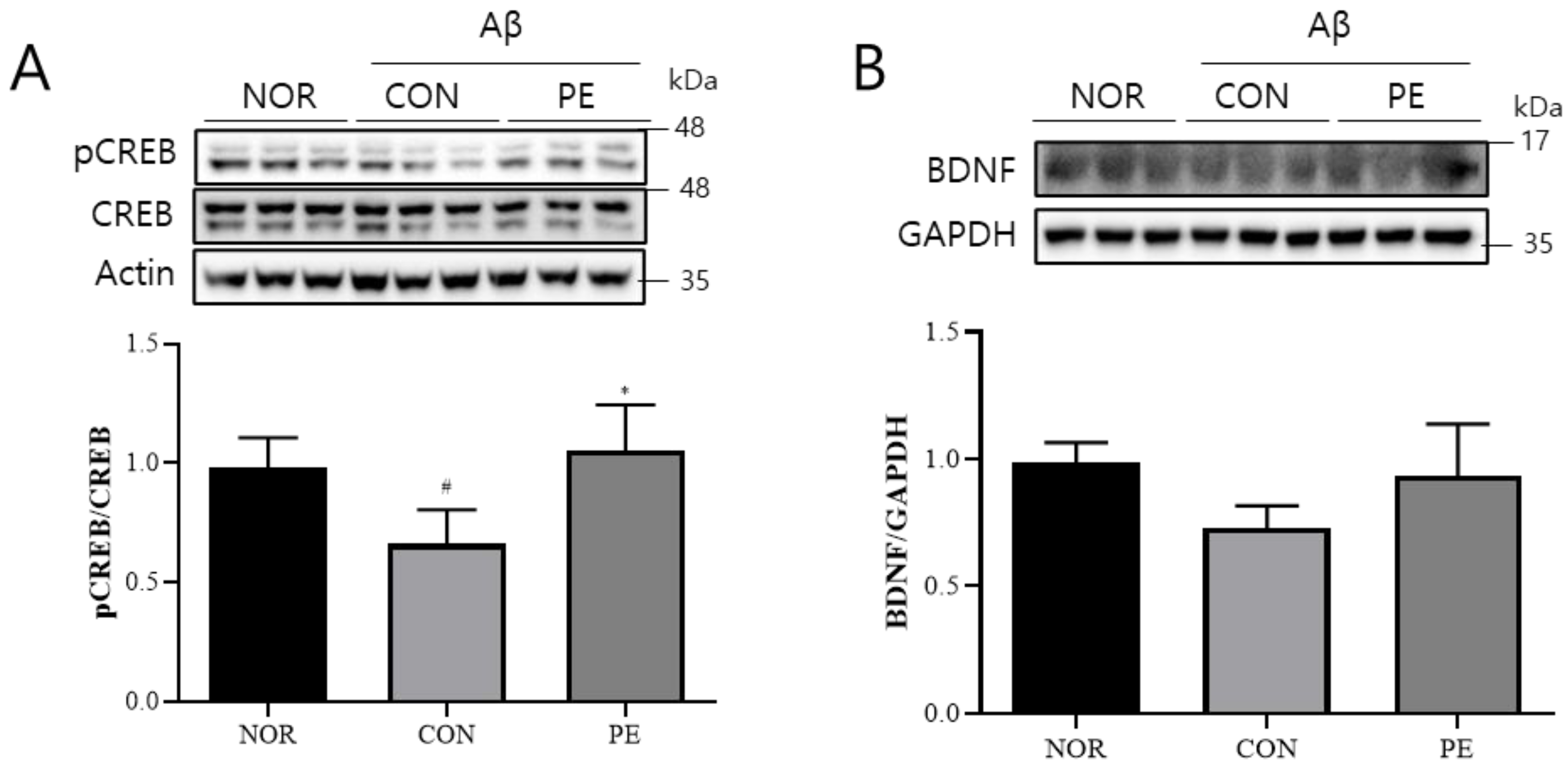 Pharmaceutics 17 01045 g009 Pharmaceutics 17 01045 g009