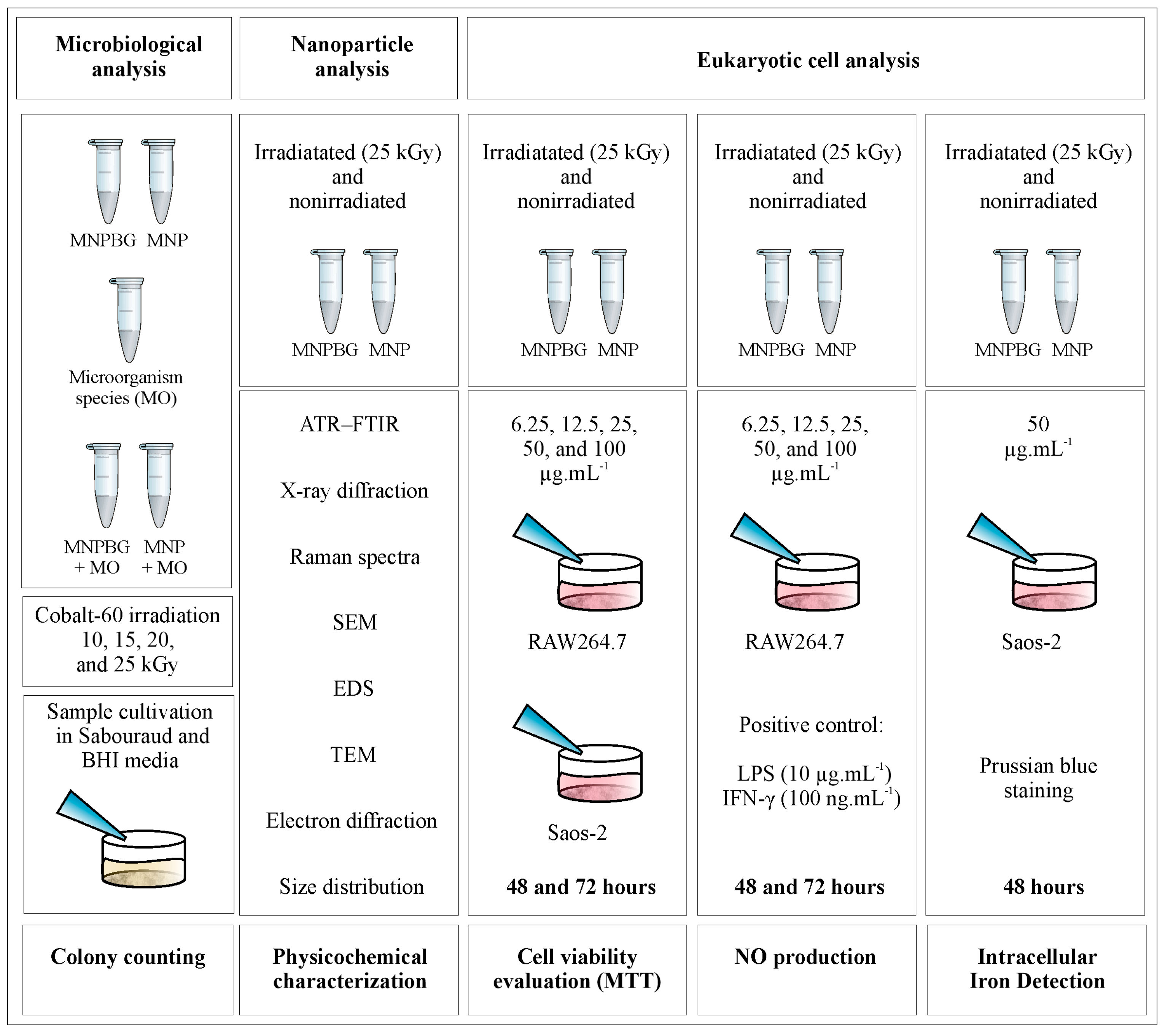 Pharmaceutics 17 01048 g001 Pharmaceutics 17 01048 g001