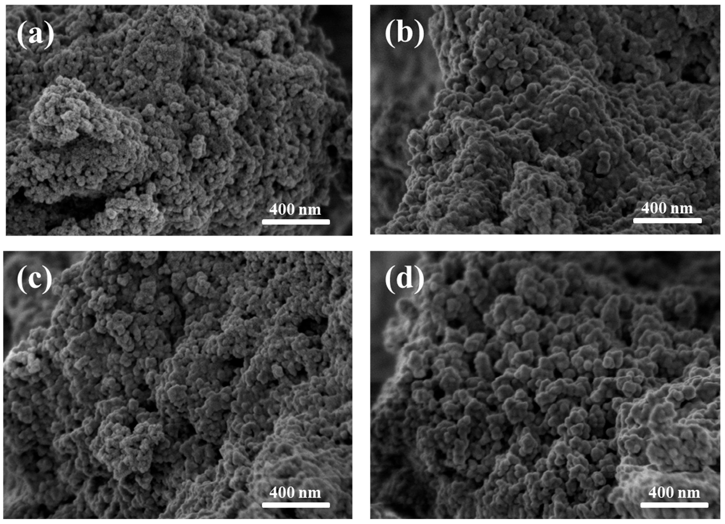 Pharmaceutics 17 01048 g005 Pharmaceutics 17 01048 g005