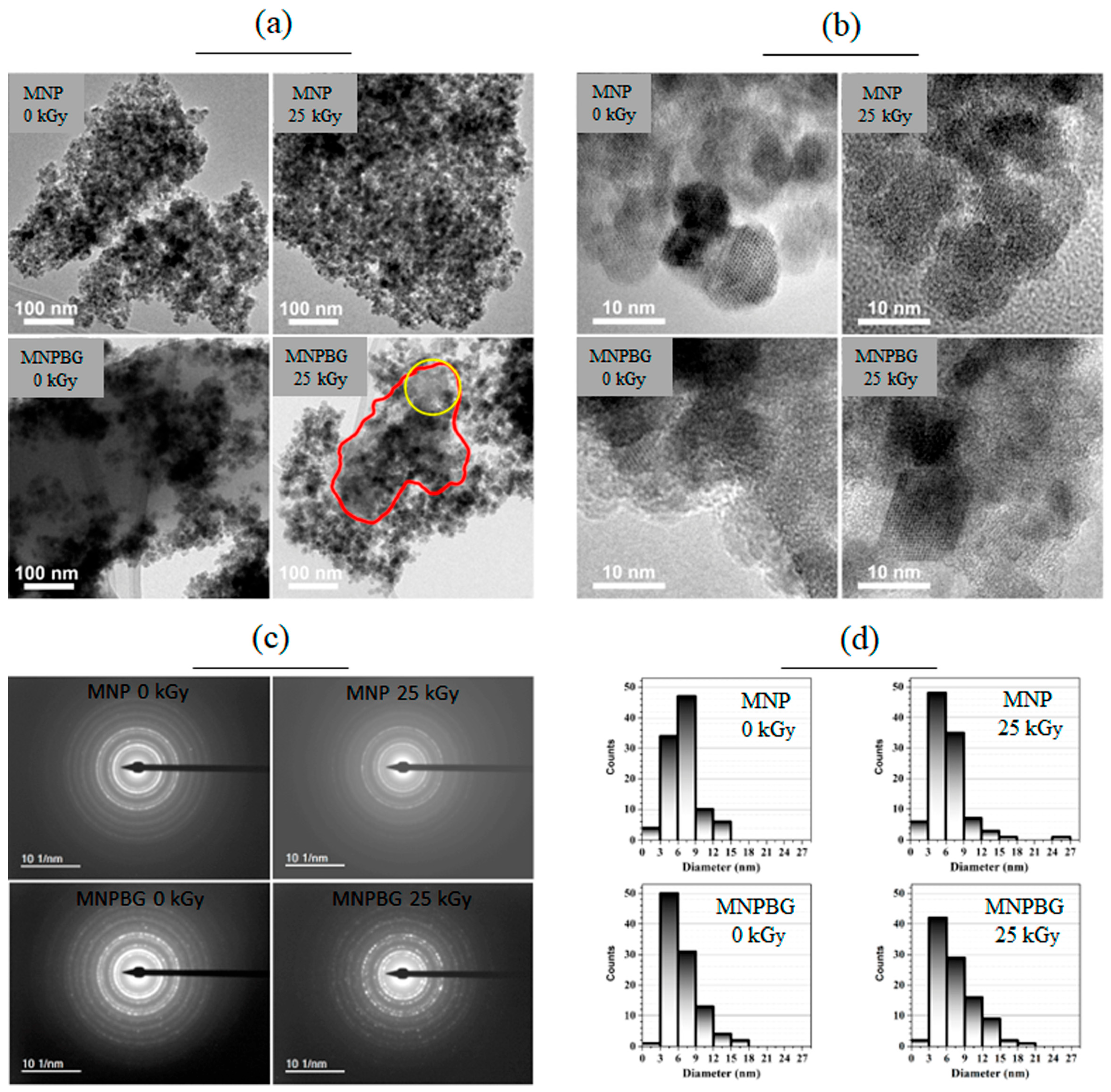 Pharmaceutics 17 01048 g007 Pharmaceutics 17 01048 g007