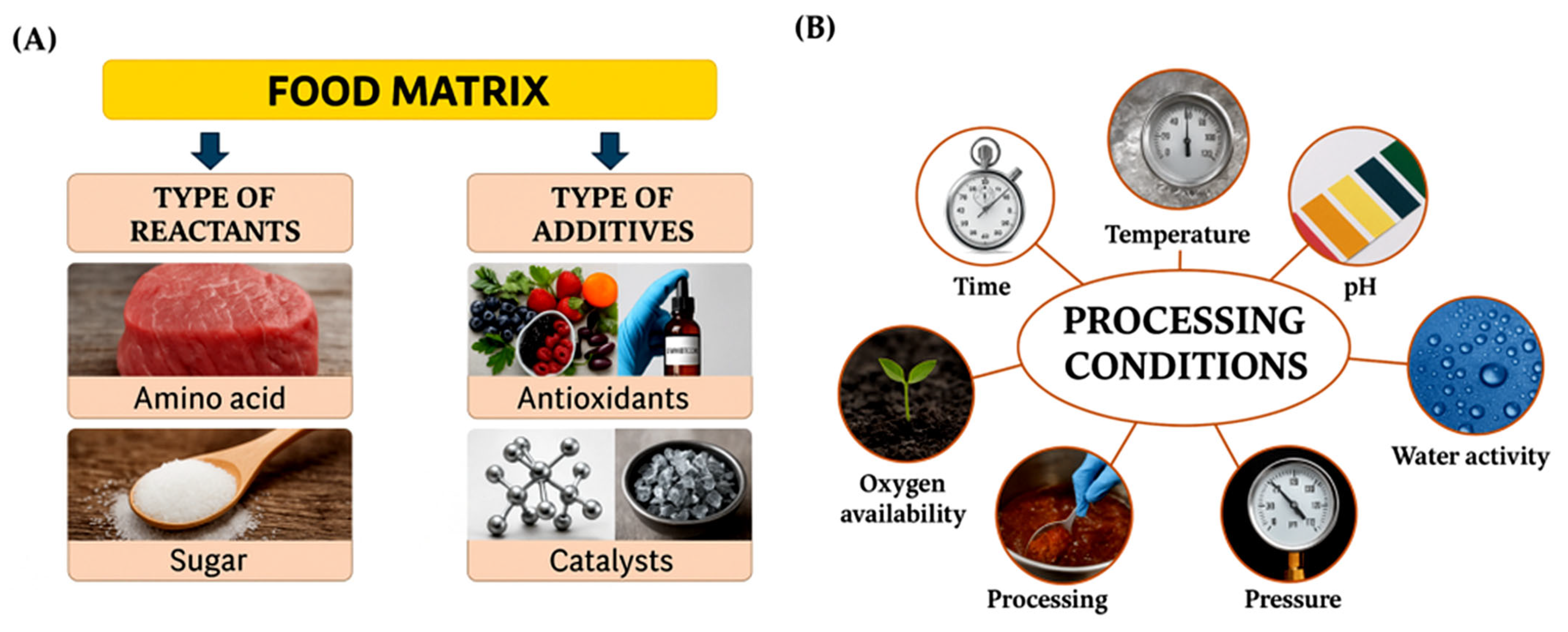 Pharmaceutics 17 01050 g003