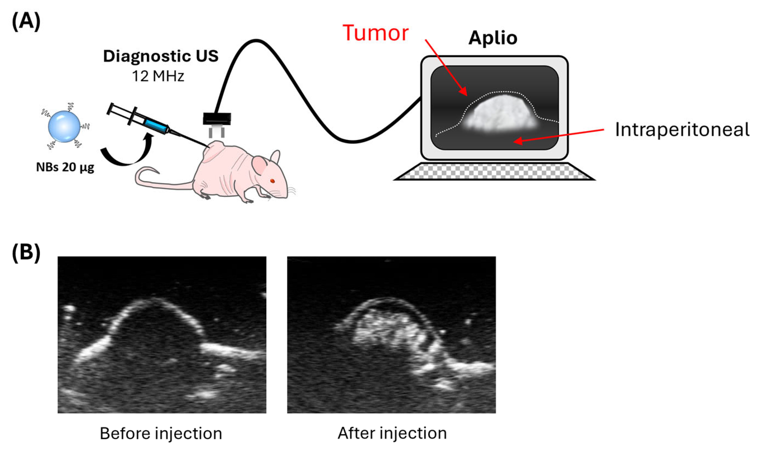 Pharmaceutics 17 01053 g002 Pharmaceutics 17 01053 g002