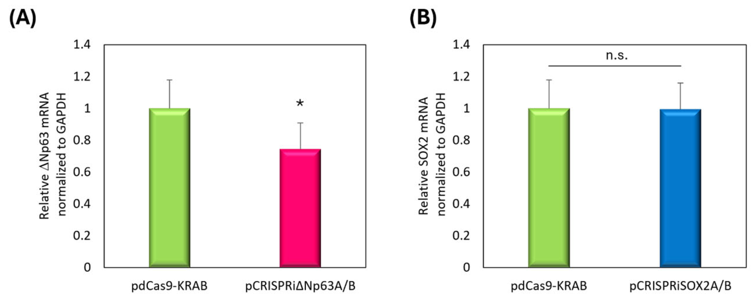 Pharmaceutics 17 01053 g004 Pharmaceutics 17 01053 g004
