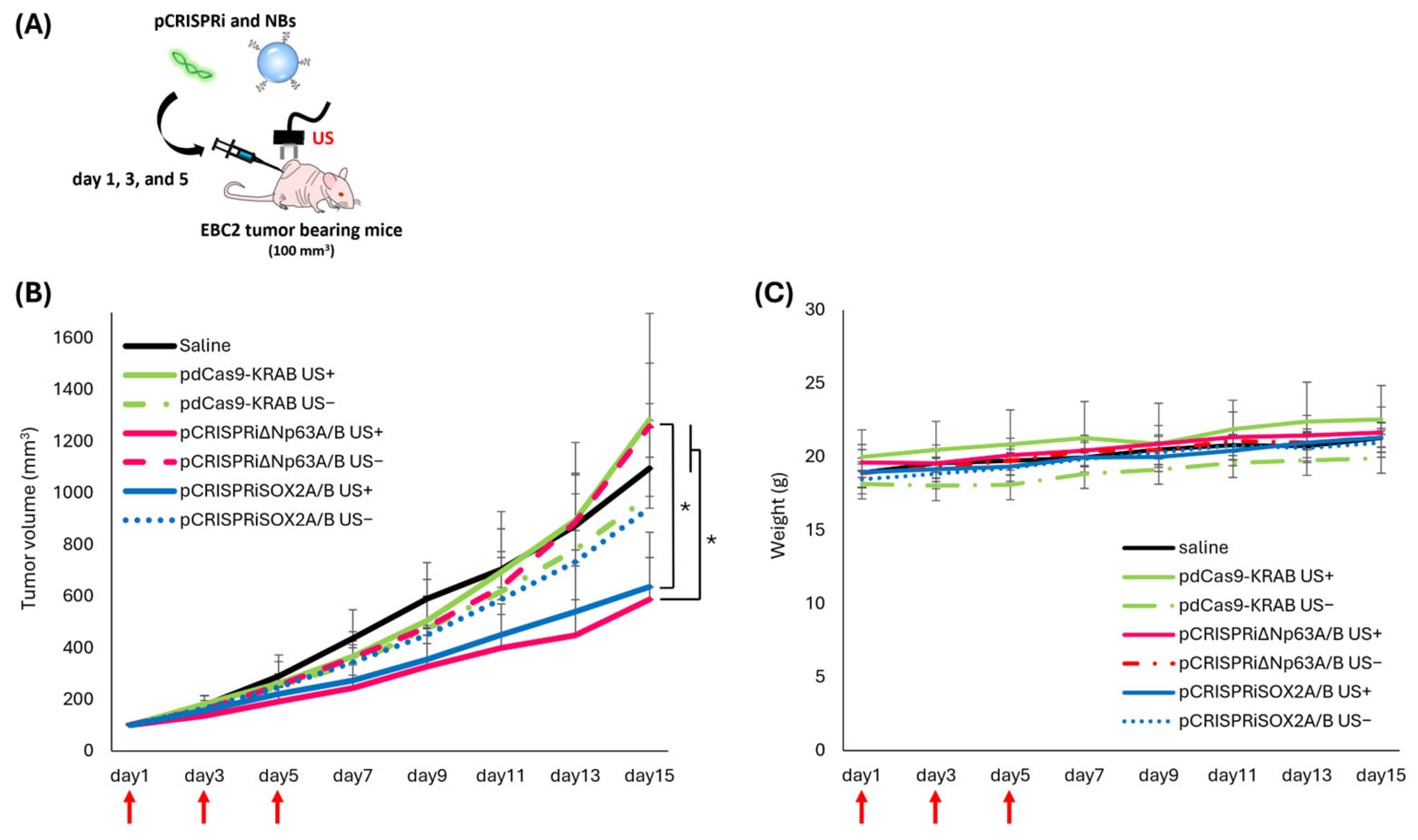 Pharmaceutics 17 01053 g006 Pharmaceutics 17 01053 g006