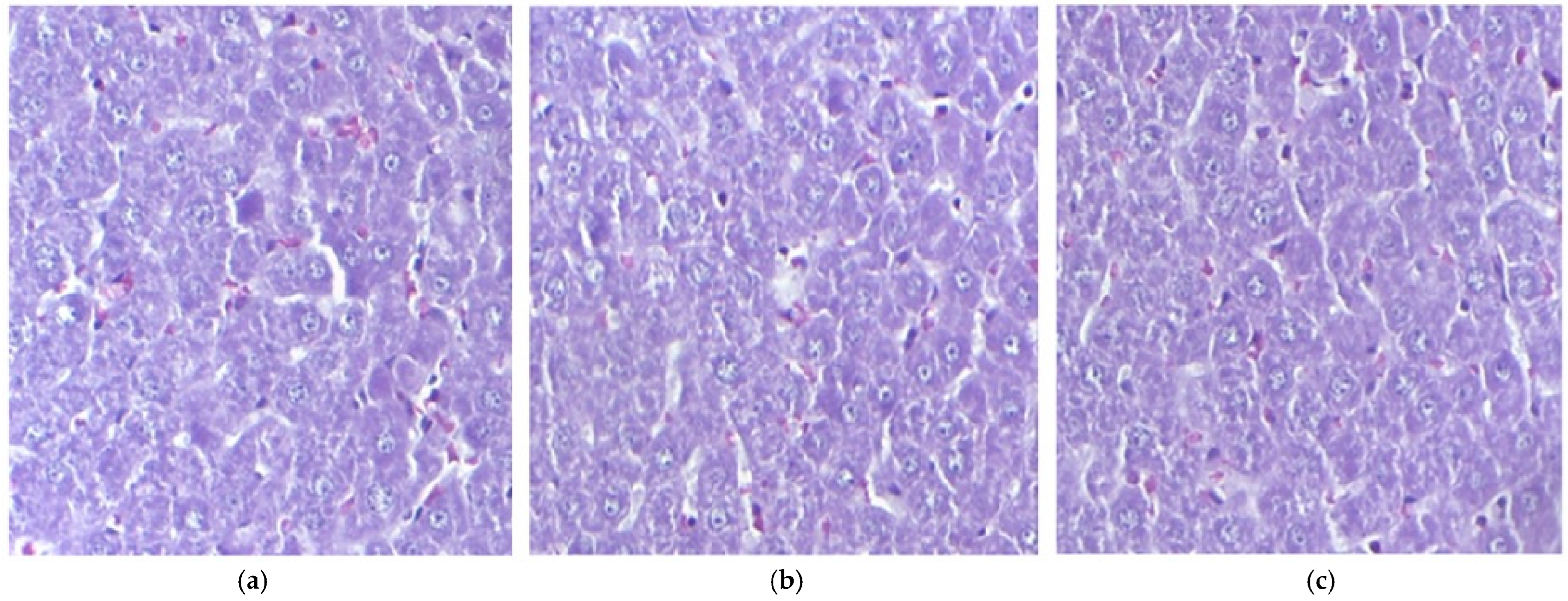 Pharmaceutics 17 01059 g001