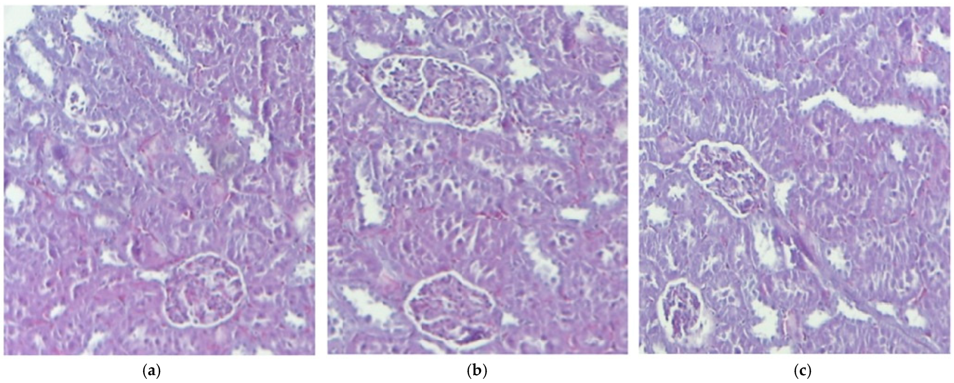 Pharmaceutics 17 01059 g002