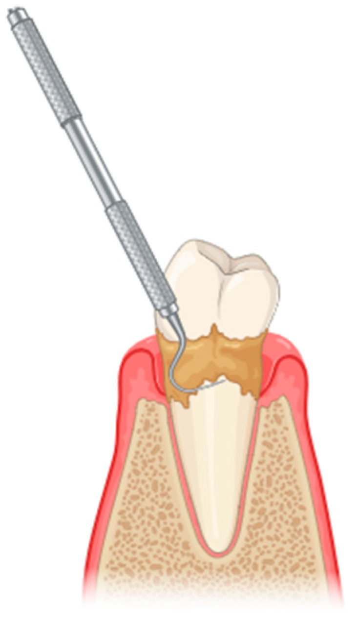 Pharmaceutics 17 01070 g001