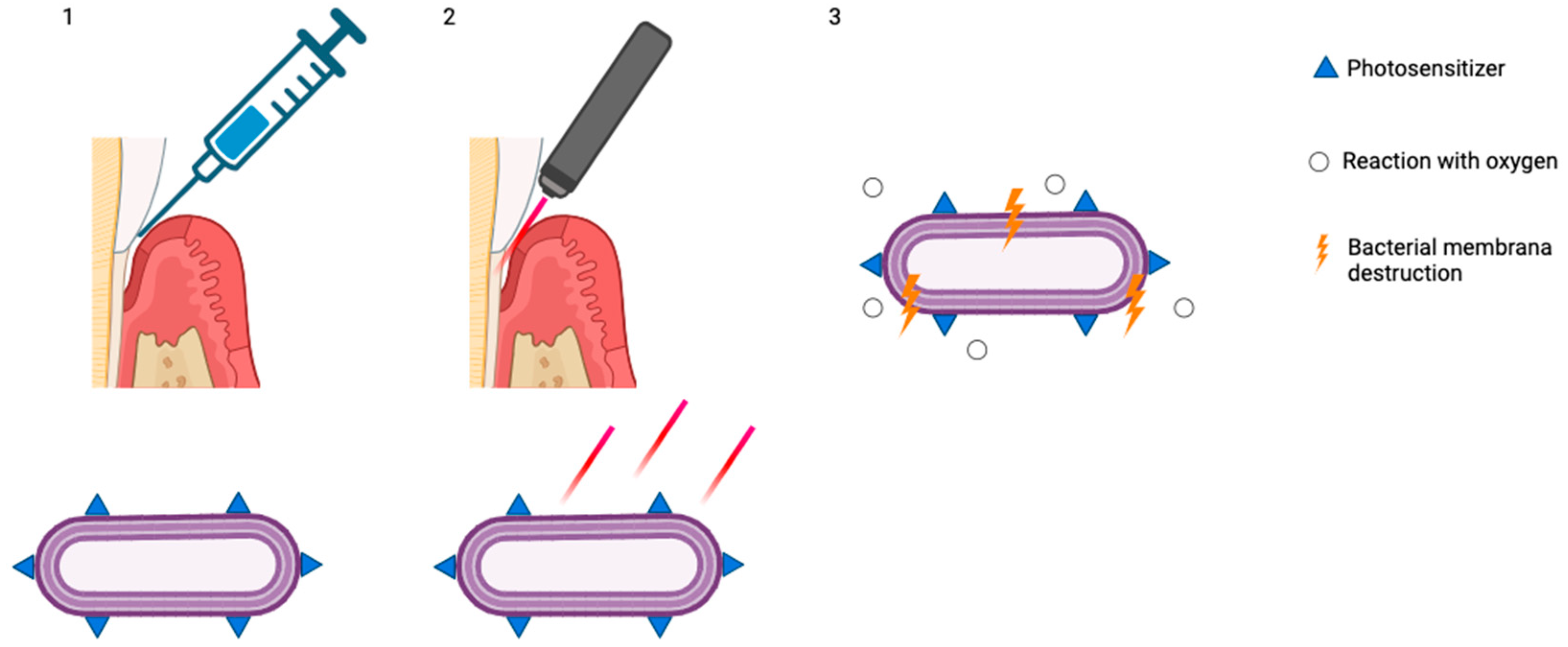 Pharmaceutics 17 01070 g002