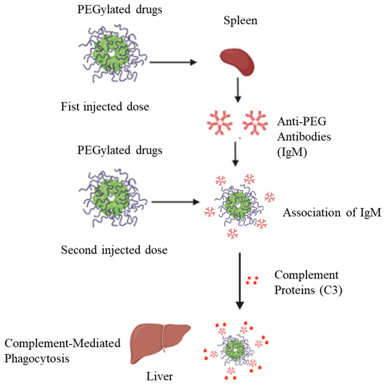Pharmaceutics 17 01074 g003