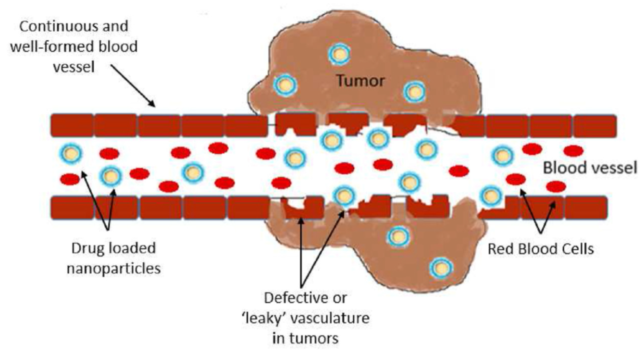 Pharmaceutics 17 01086 g006