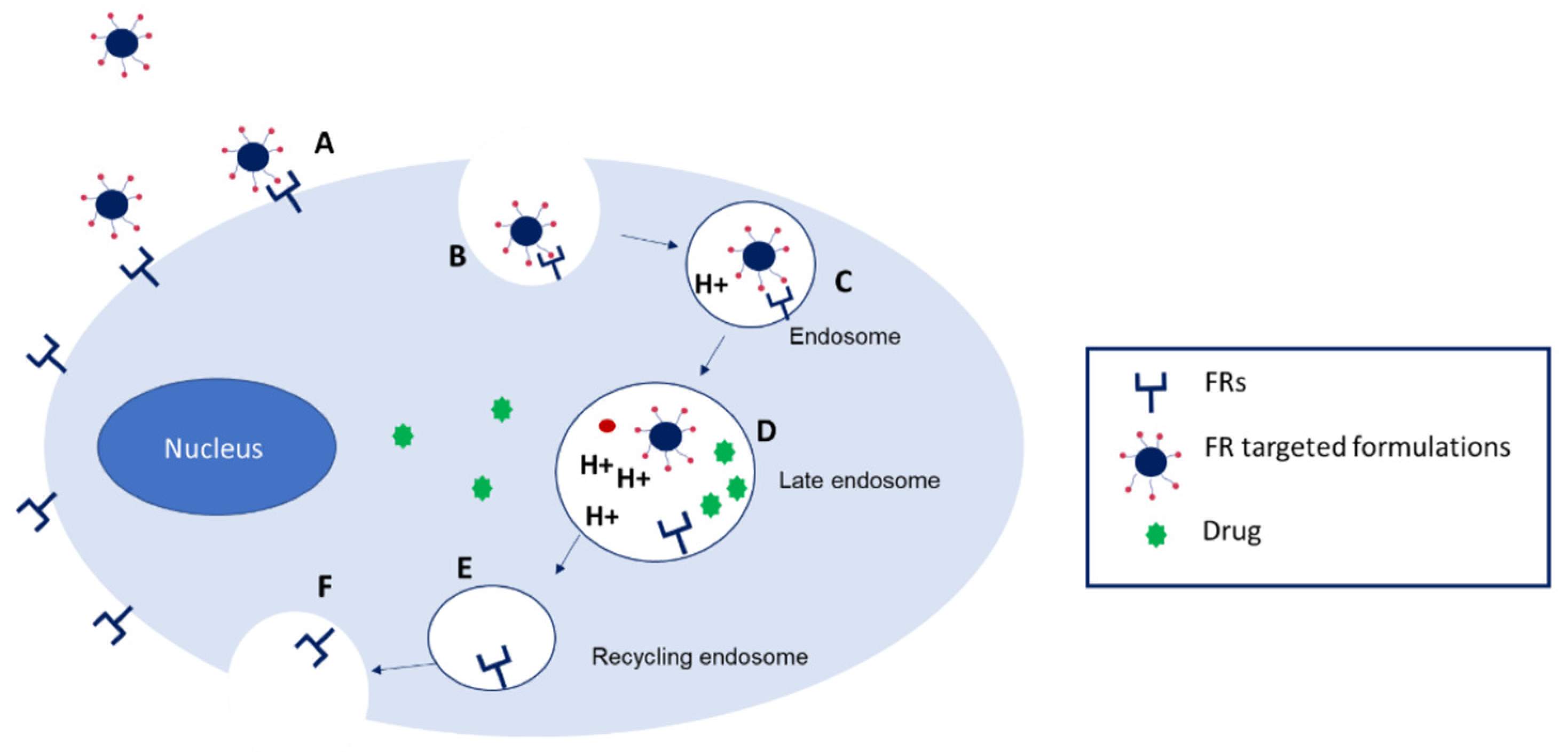 Pharmaceutics 17 01086 g007