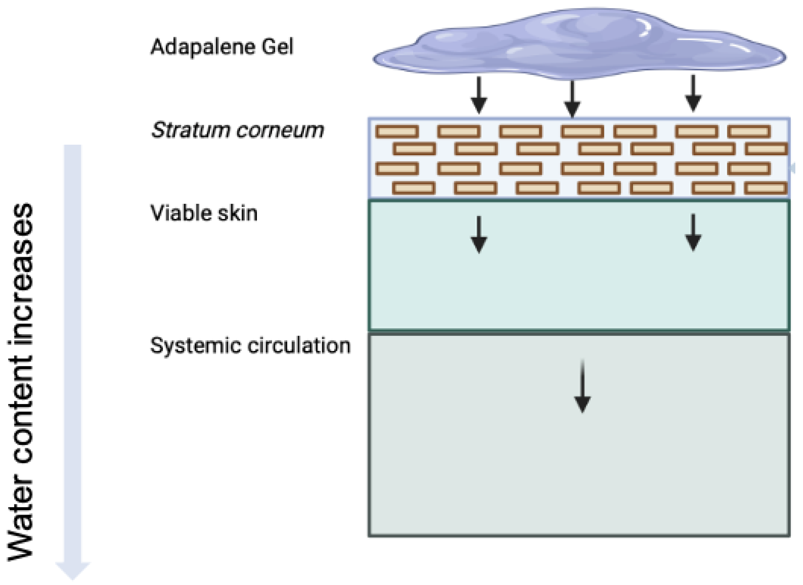Pharmaceutics 17 01108 g001