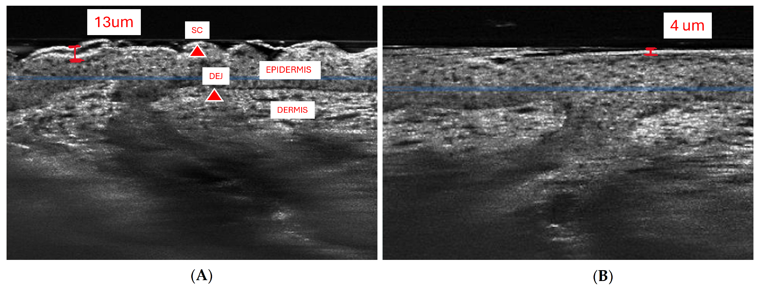 Pharmaceutics 17 01108 g0a1