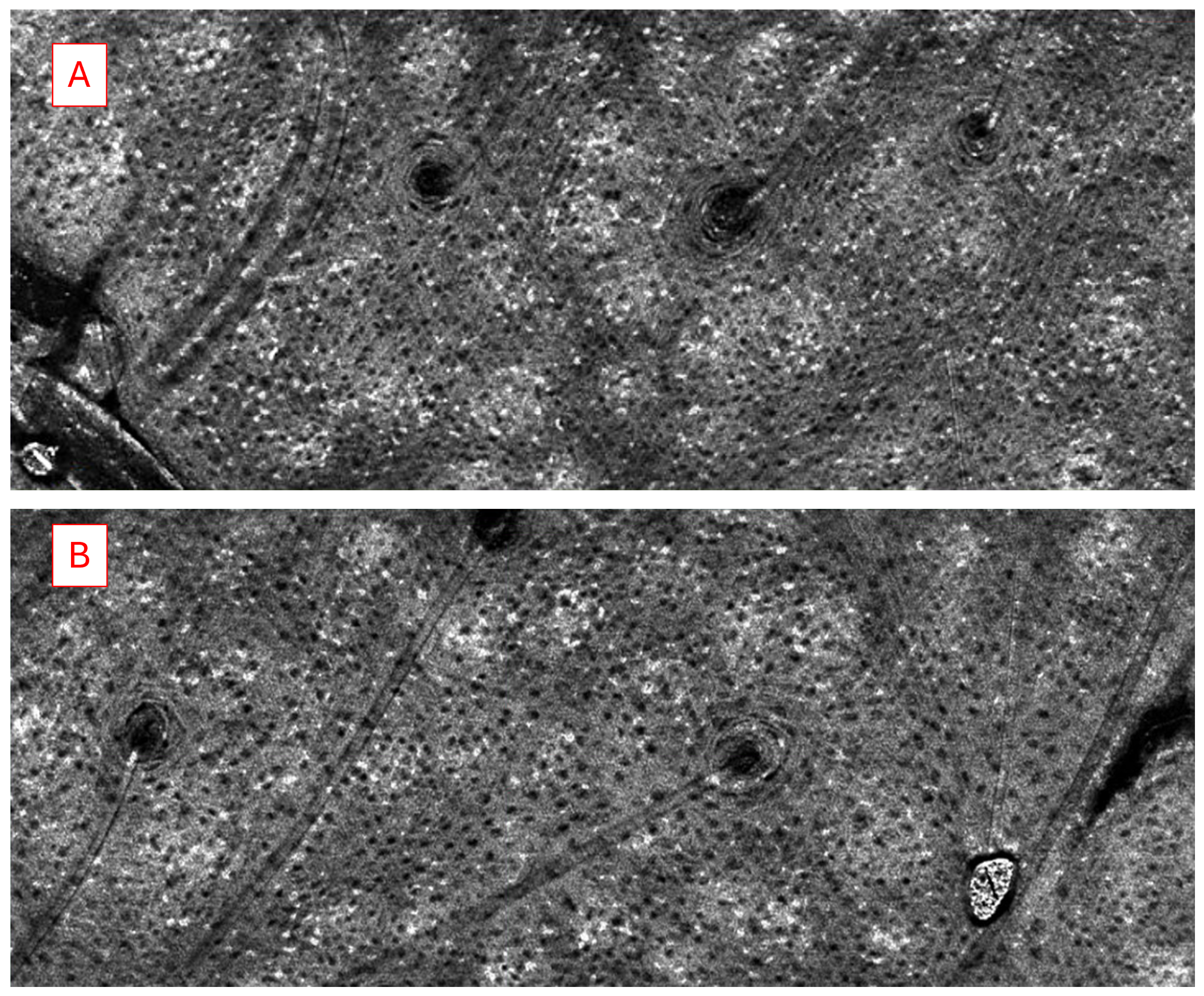 Pharmaceutics 17 01108 g0a2