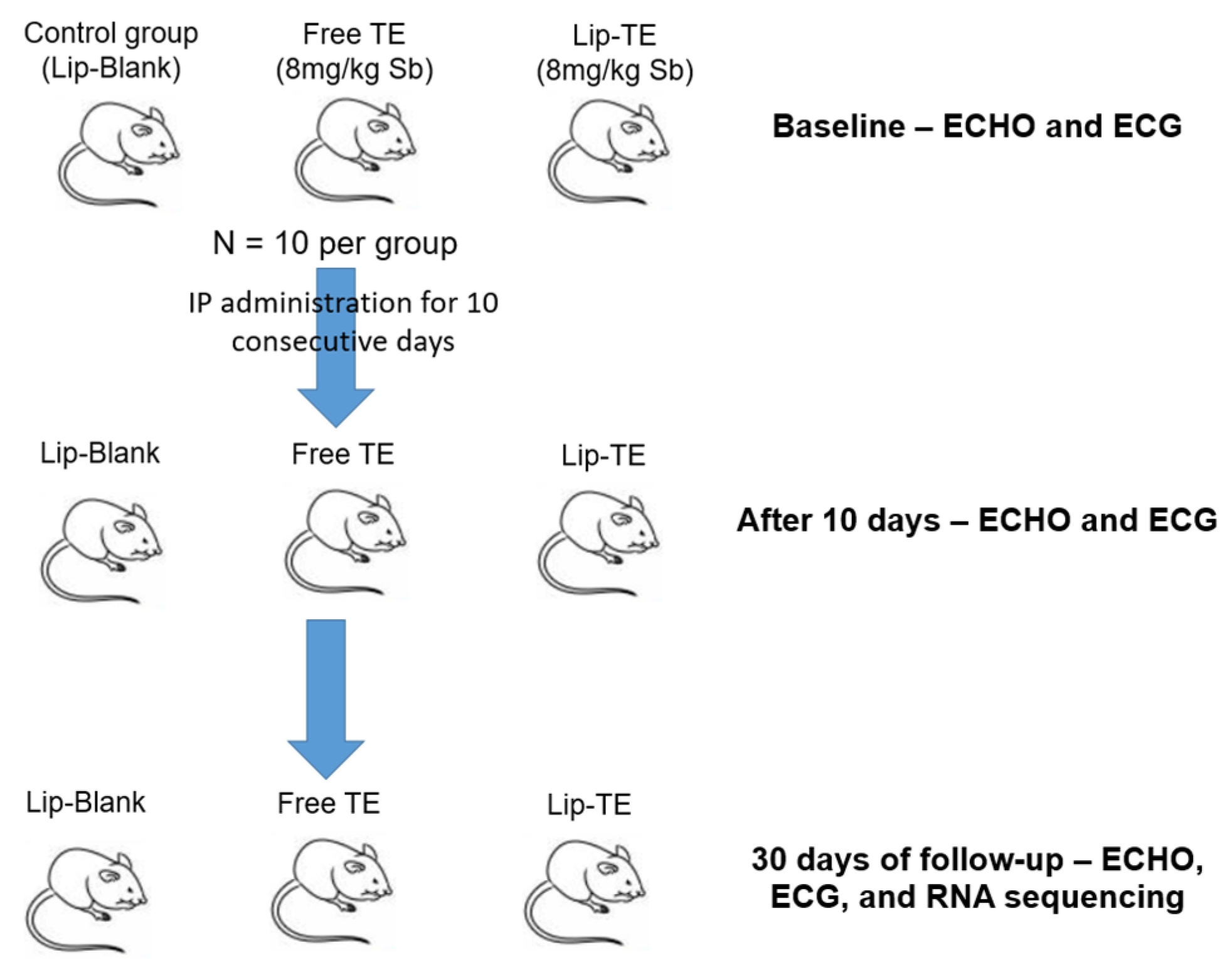 Pharmaceutics 17 01109 g002