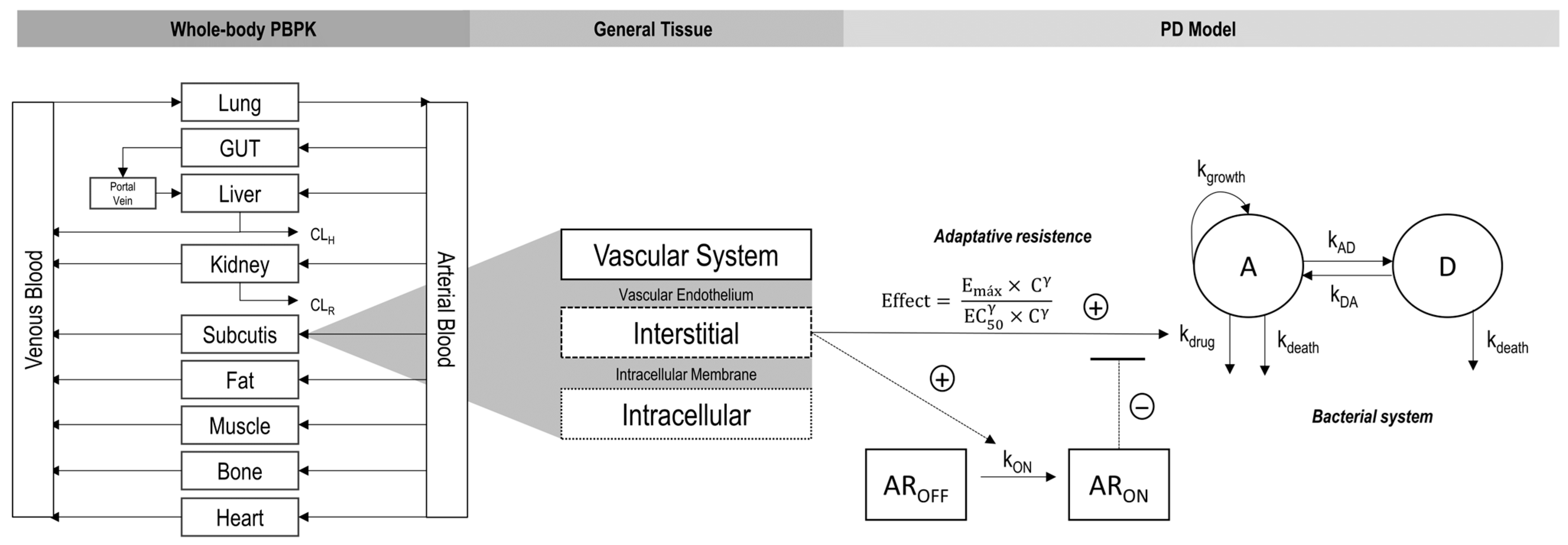 Pharmaceutics 17 01111 g001 Pharmaceutics 17 01111 g001