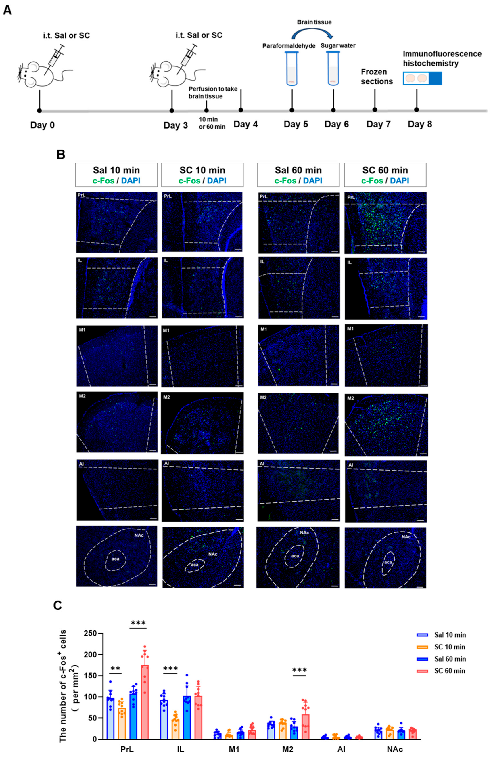 Pharmaceutics 17 01112 g002