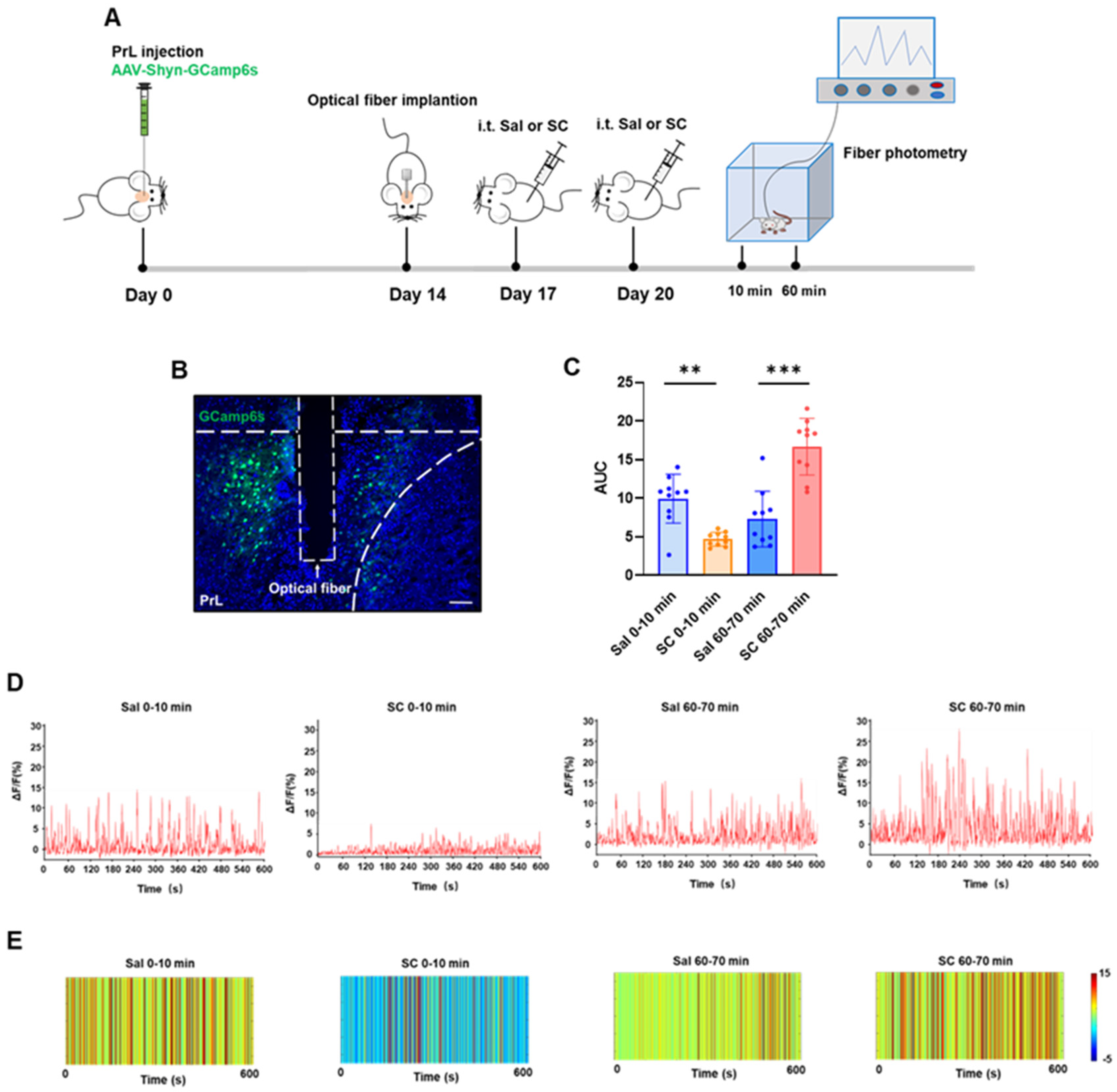 Pharmaceutics 17 01112 g003