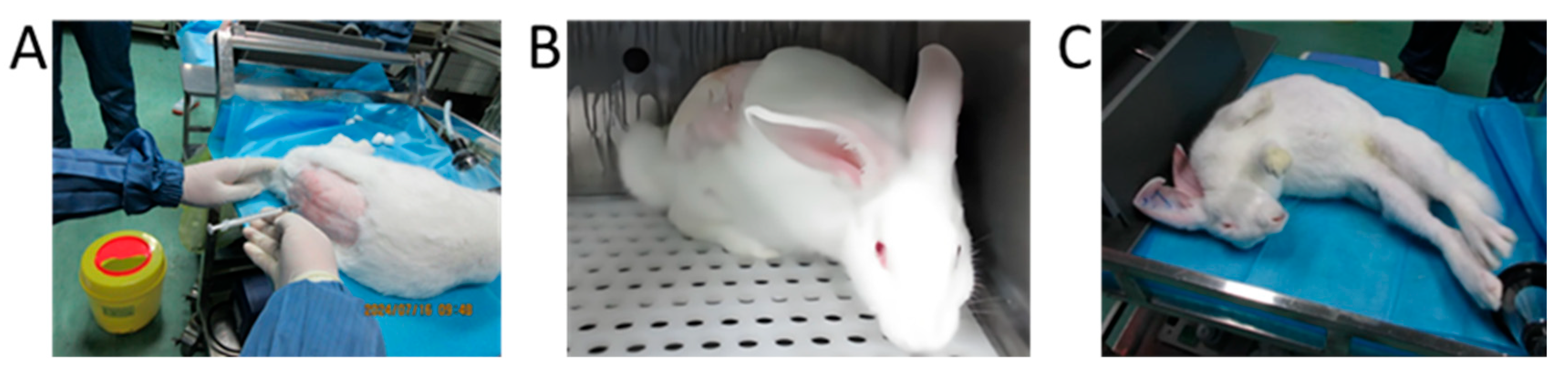 Pharmaceutics 17 01112 g004