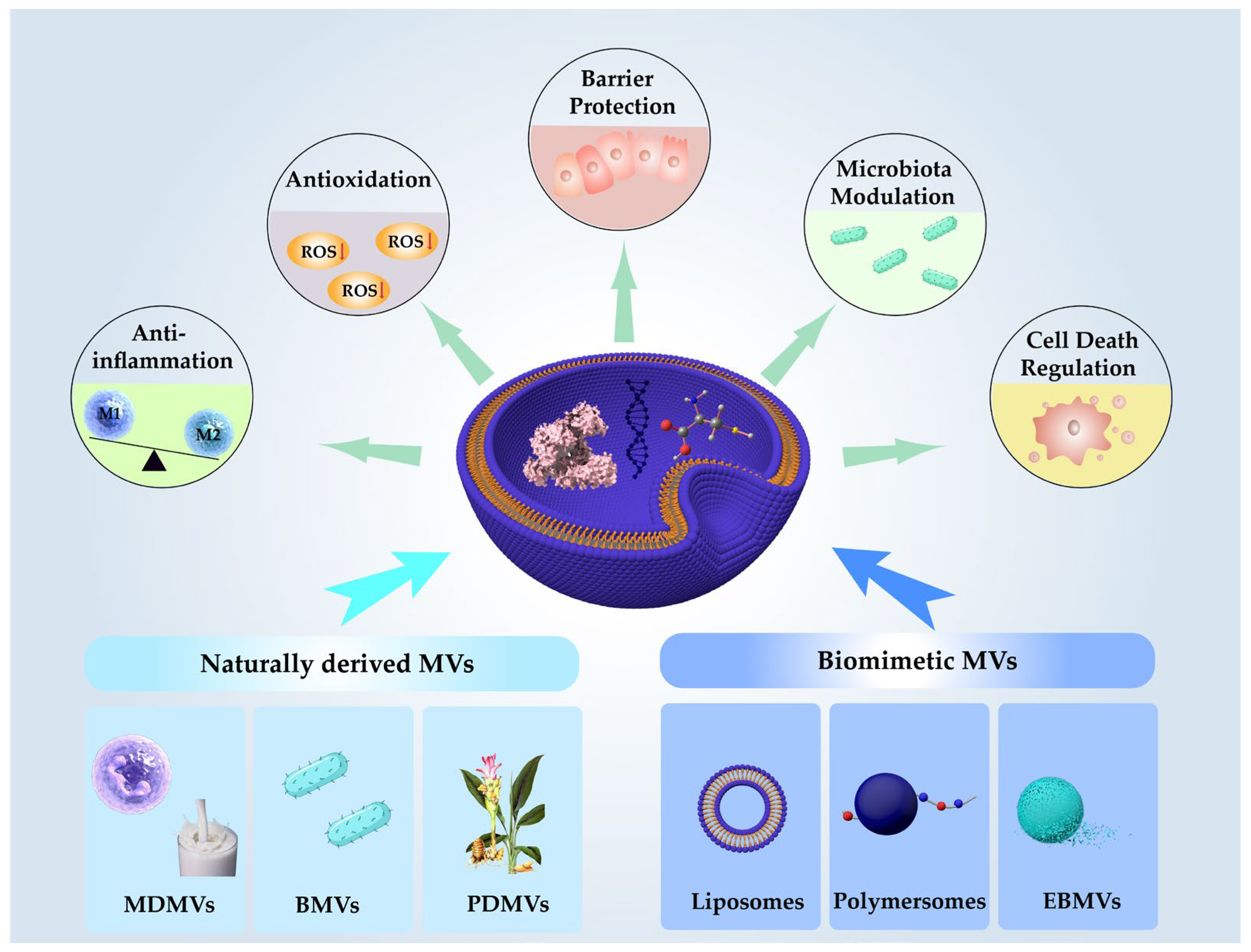 Pharmaceutics 17 01127 g001 Pharmaceutics 17 01127 g001