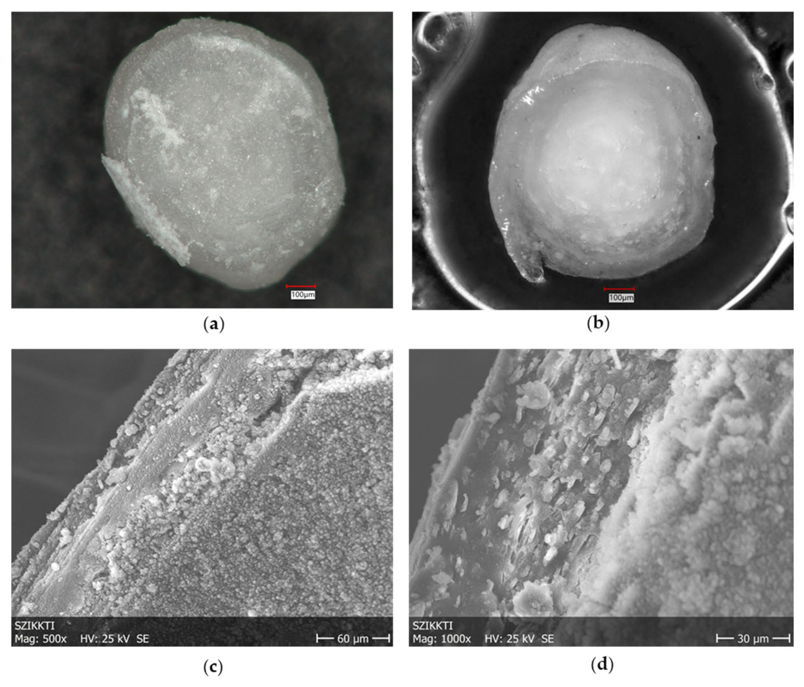 Pharmaceutics 17 01133 g003