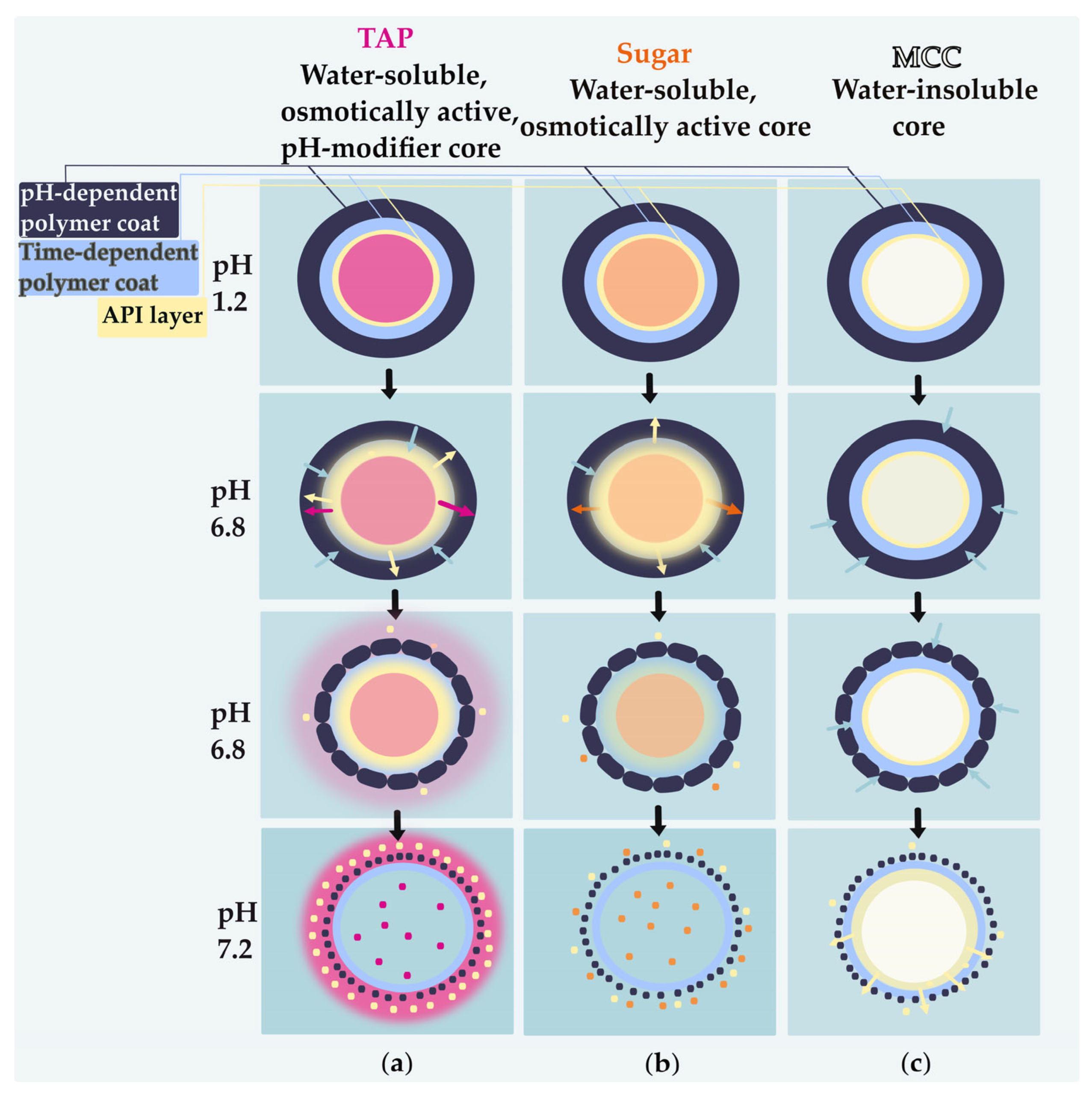 Pharmaceutics 17 01133 g010