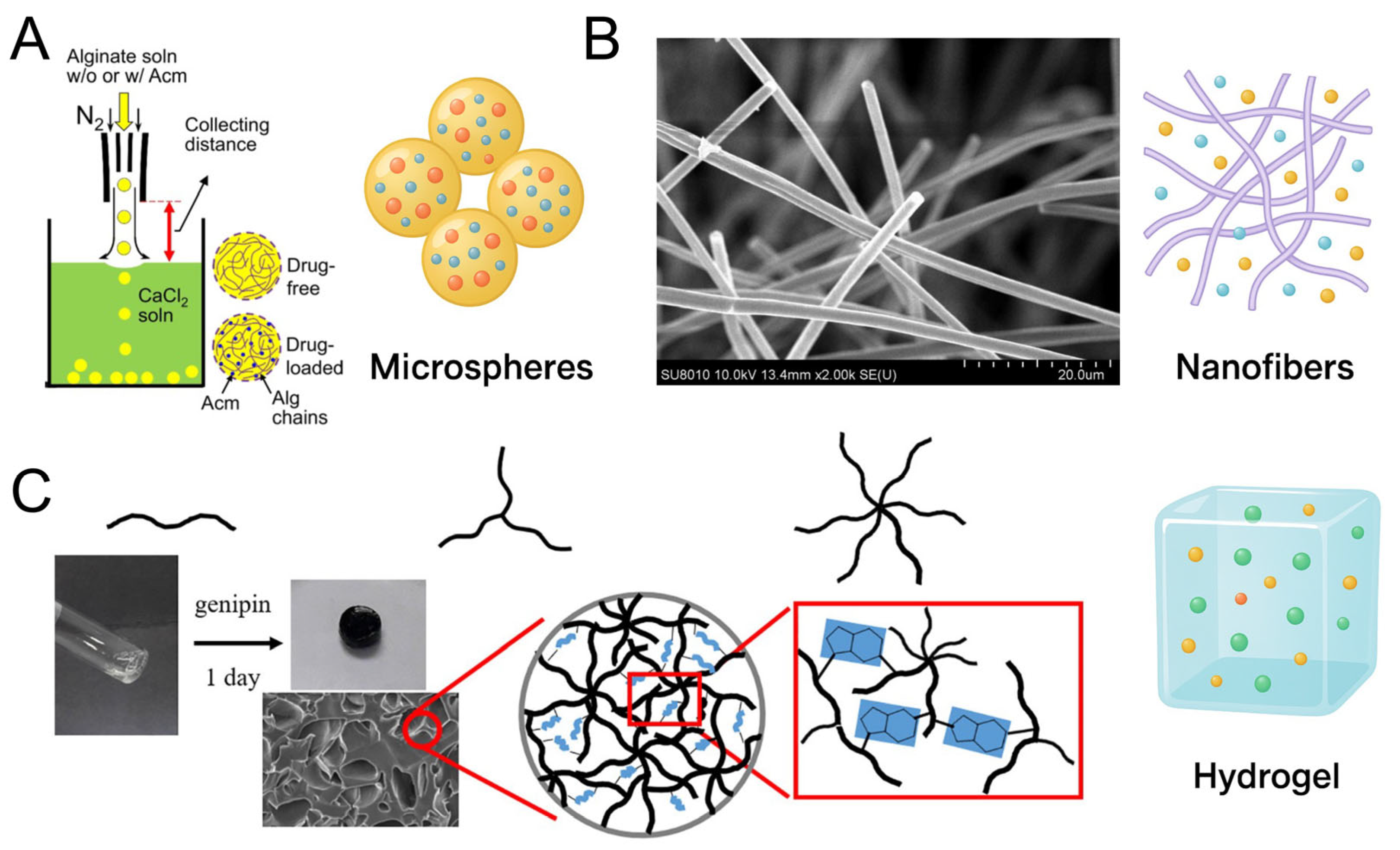 Pharmaceutics 17 01145 g002