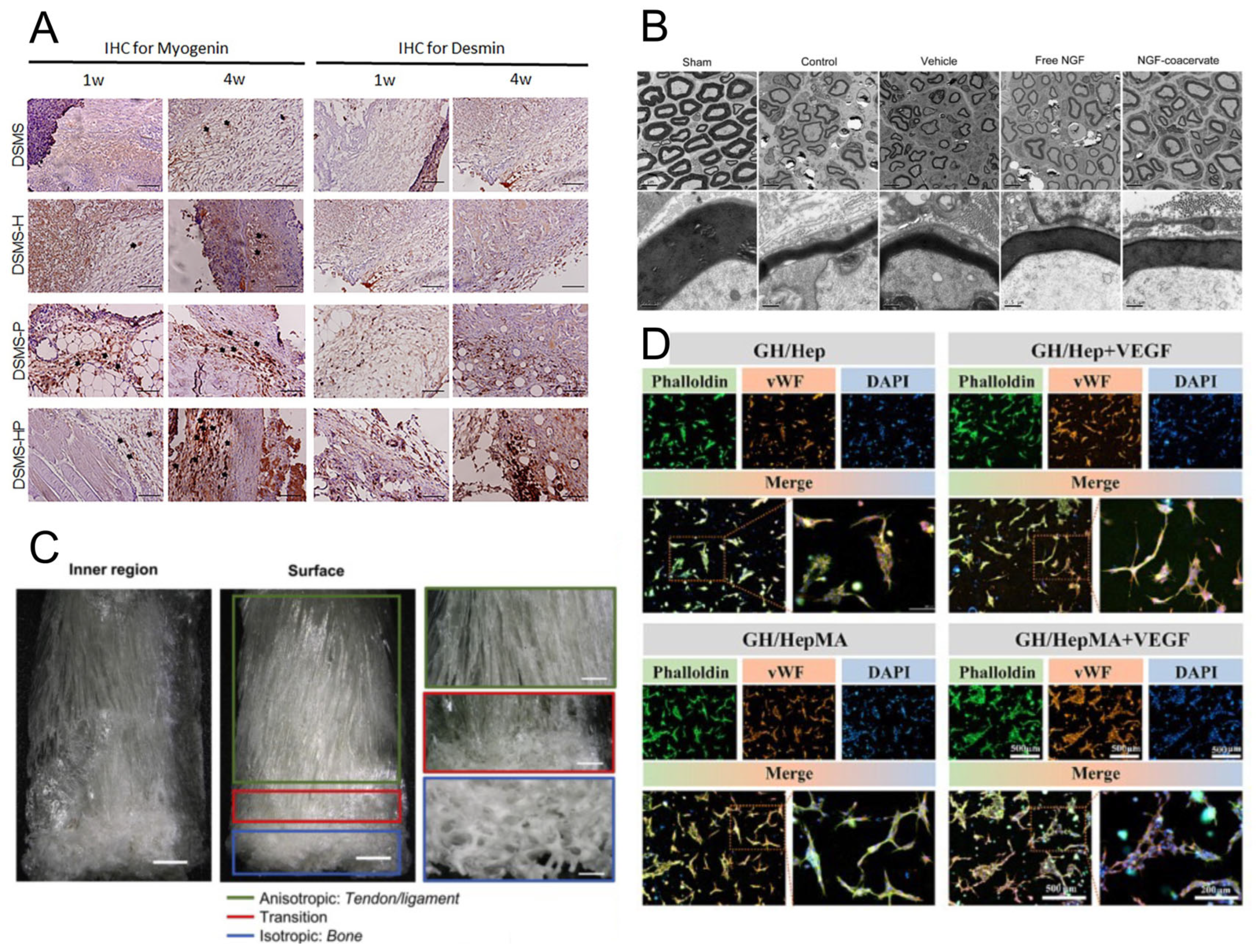Pharmaceutics 17 01145 g003