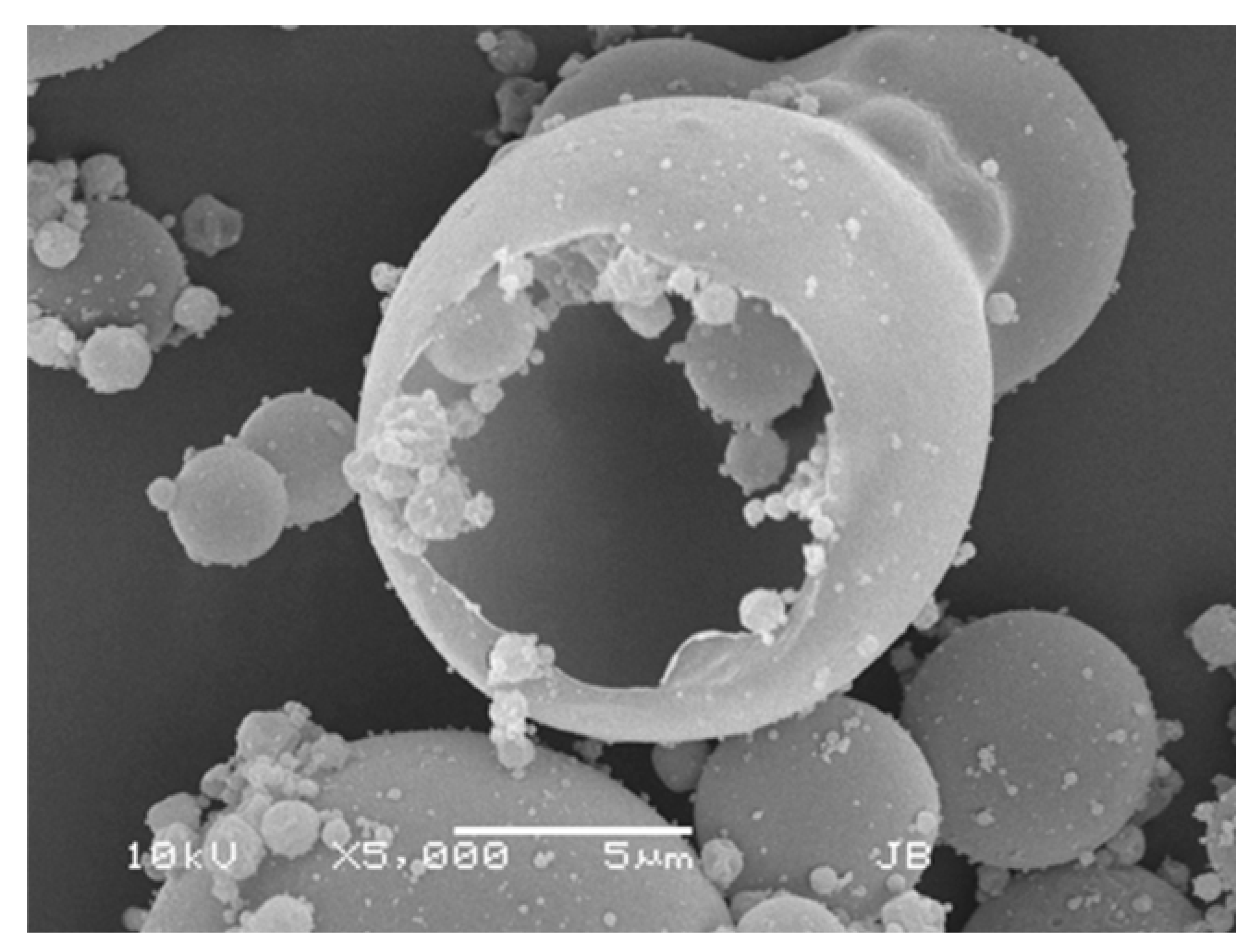 Pharmaceutics 17 01149 i001