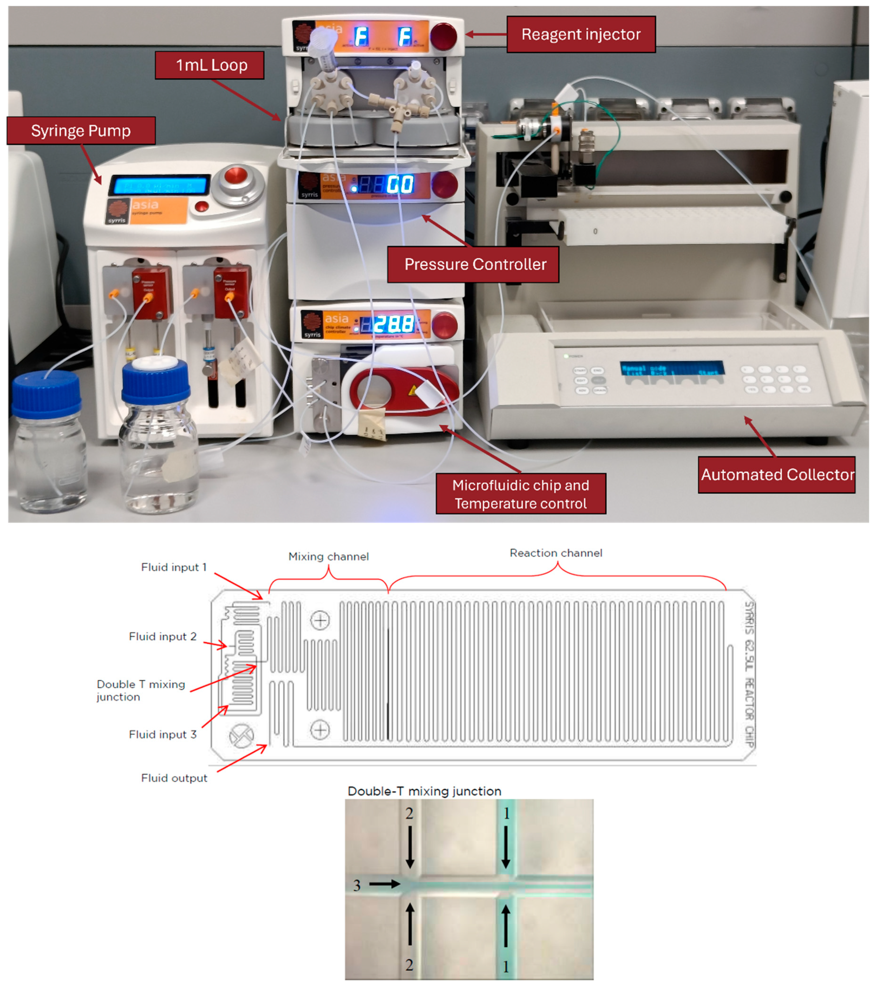 Pharmaceutics 17 01150 g001