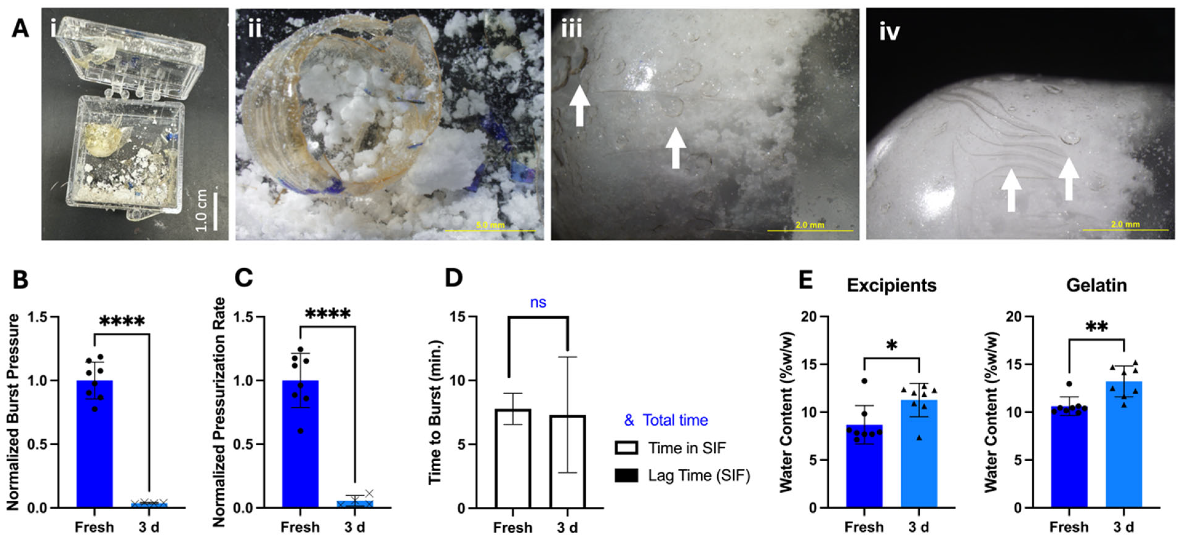 Pharmaceutics 17 01156 g005