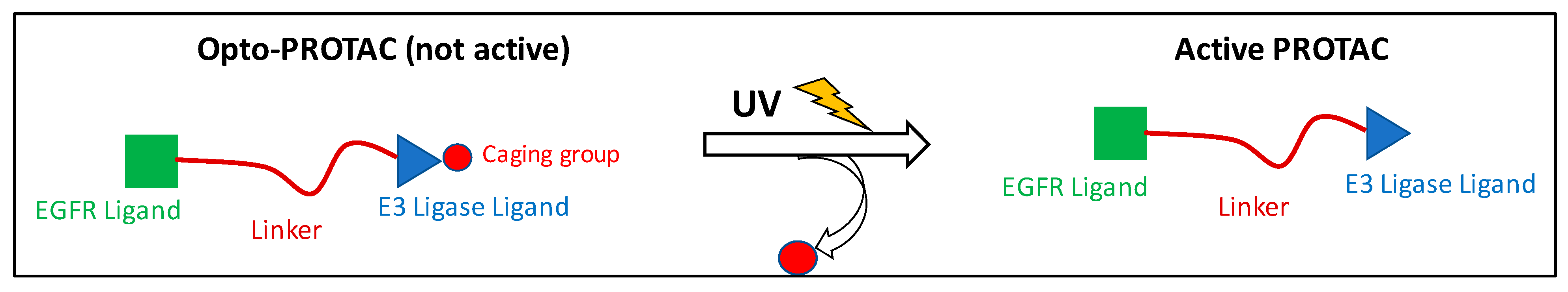 Pharmaceutics 17 01160 g002