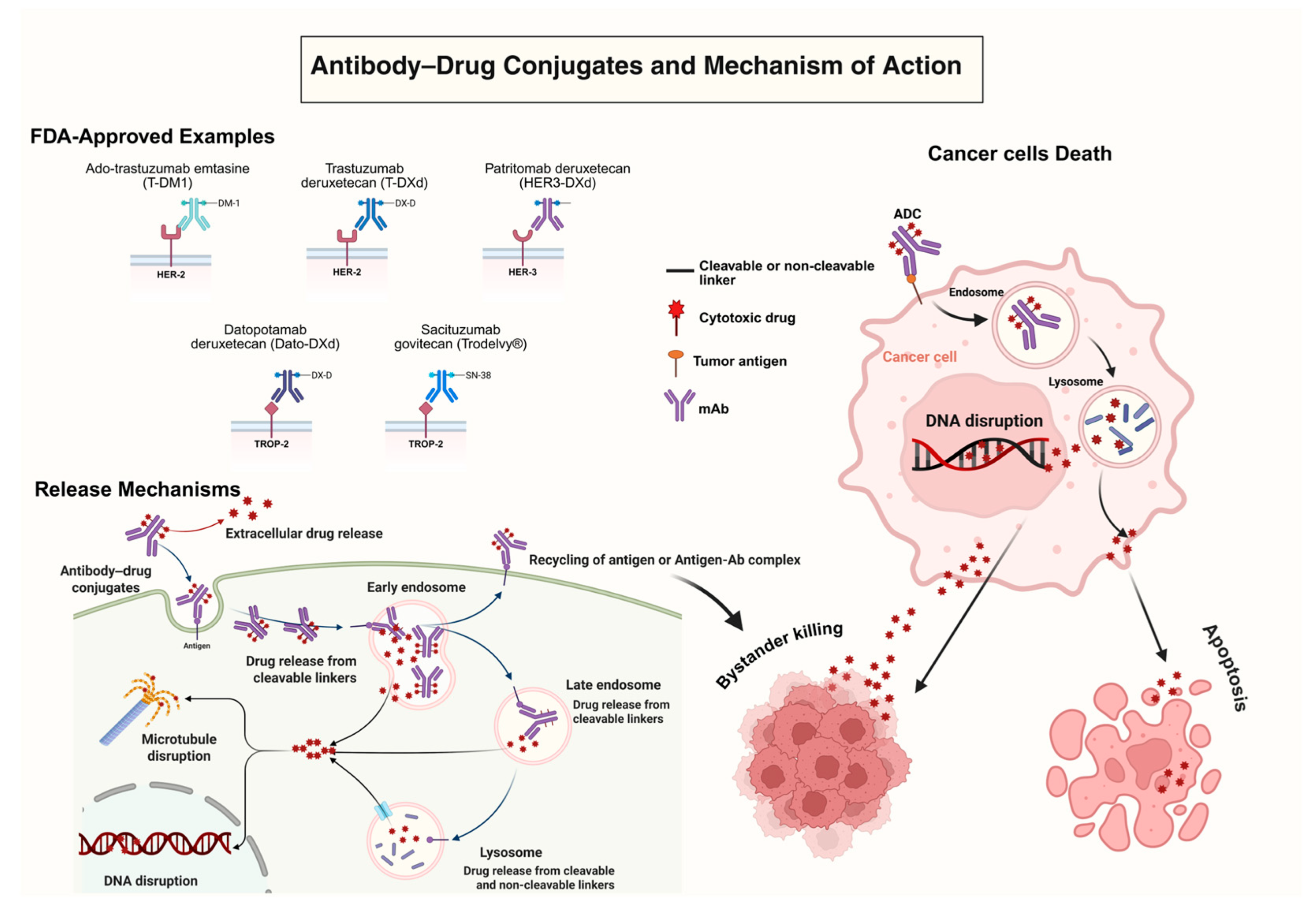 Pharmaceutics 17 01164 g001