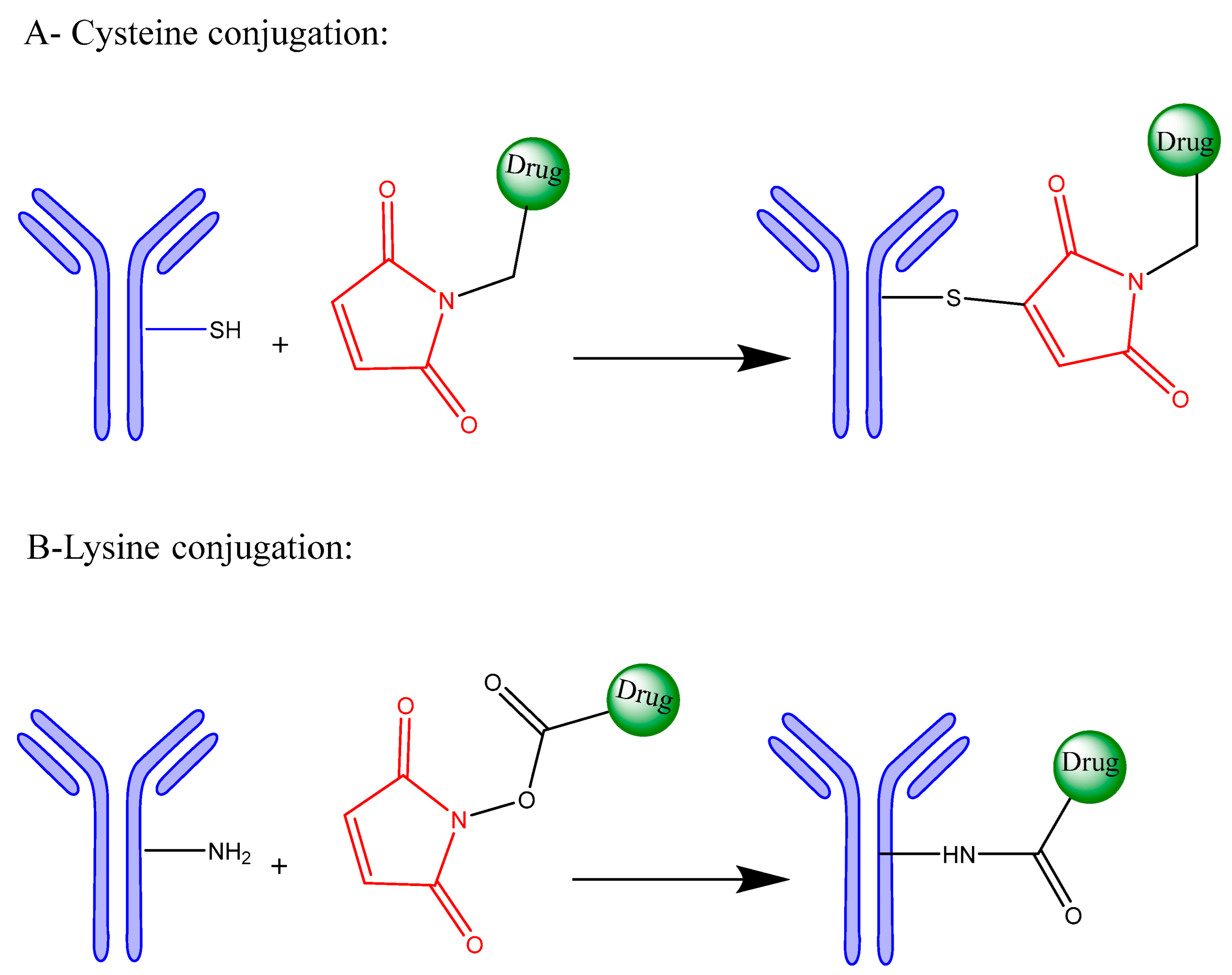 Pharmaceutics 17 01164 g002