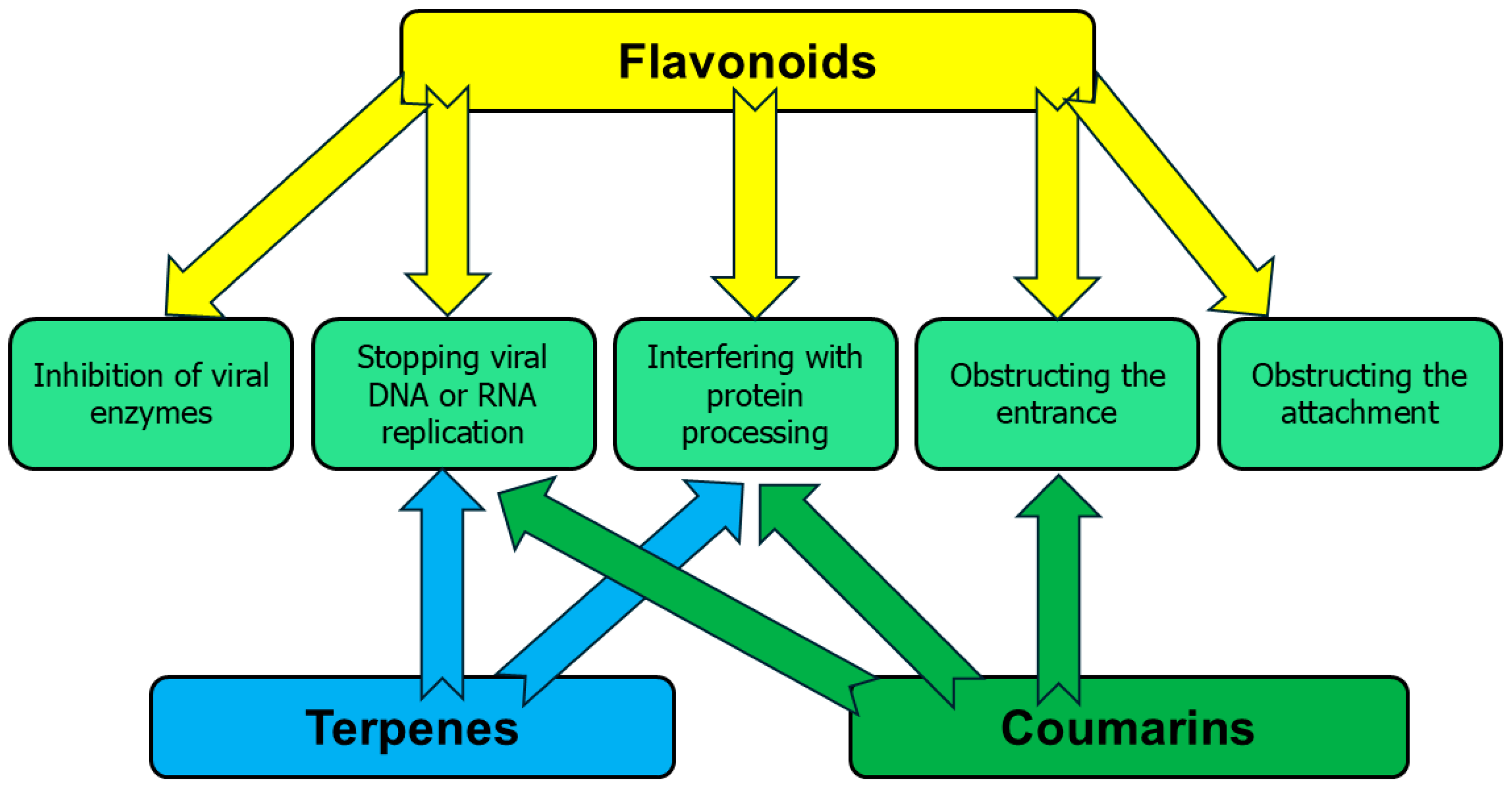 Pharmaceutics 17 01173 g001 Pharmaceutics 17 01173 g001