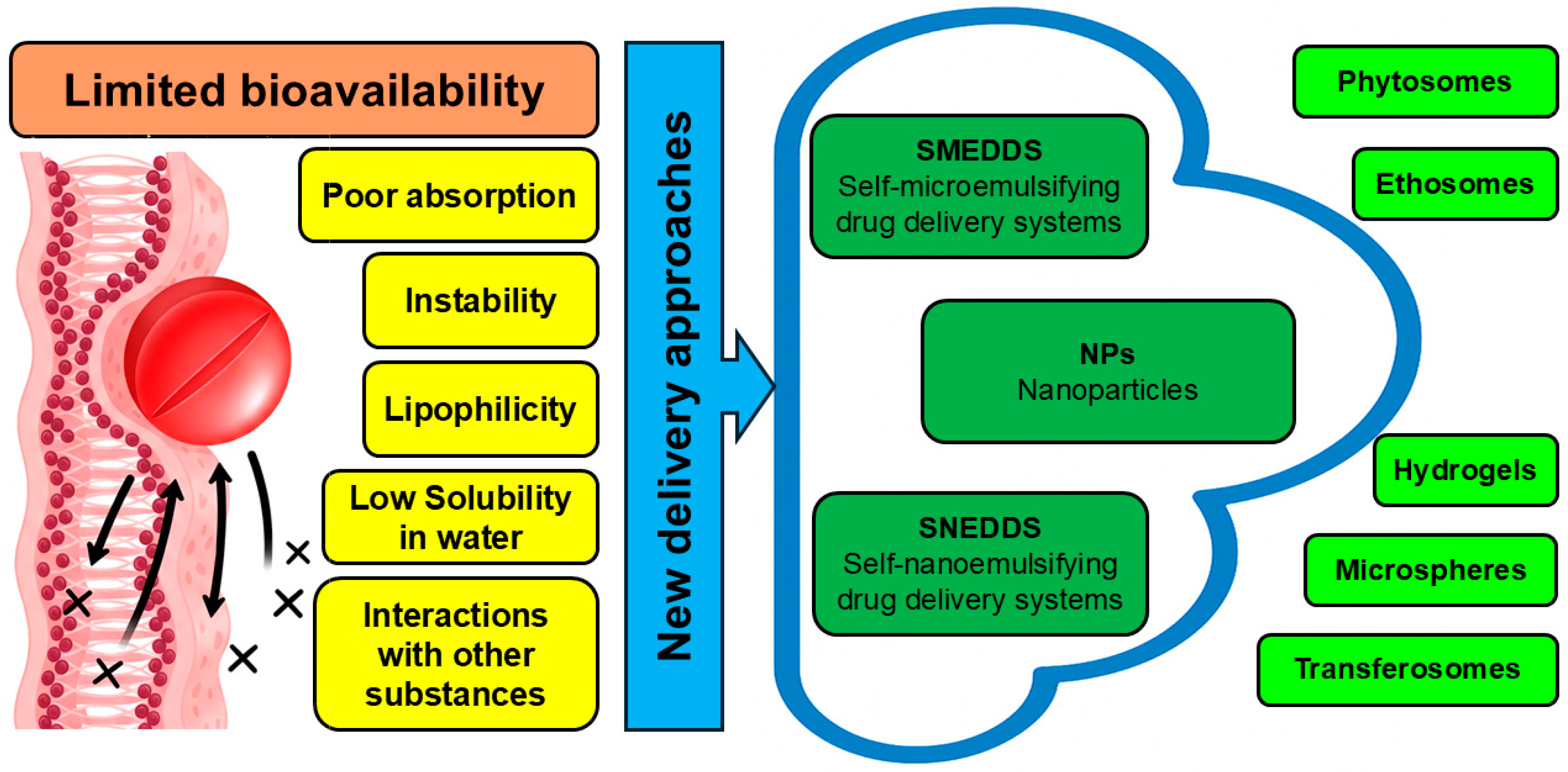 Pharmaceutics 17 01173 g002 Pharmaceutics 17 01173 g002