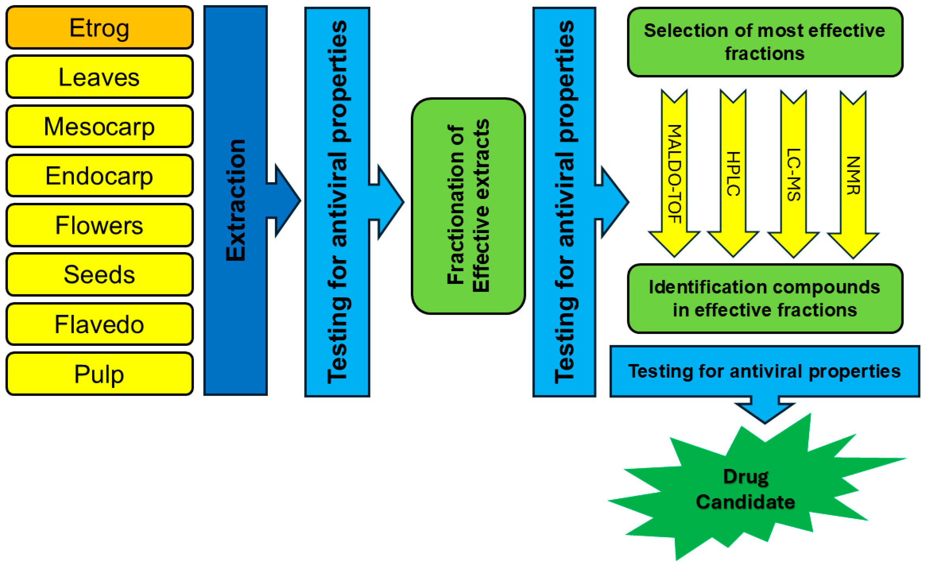 Pharmaceutics 17 01173 g003 Pharmaceutics 17 01173 g003