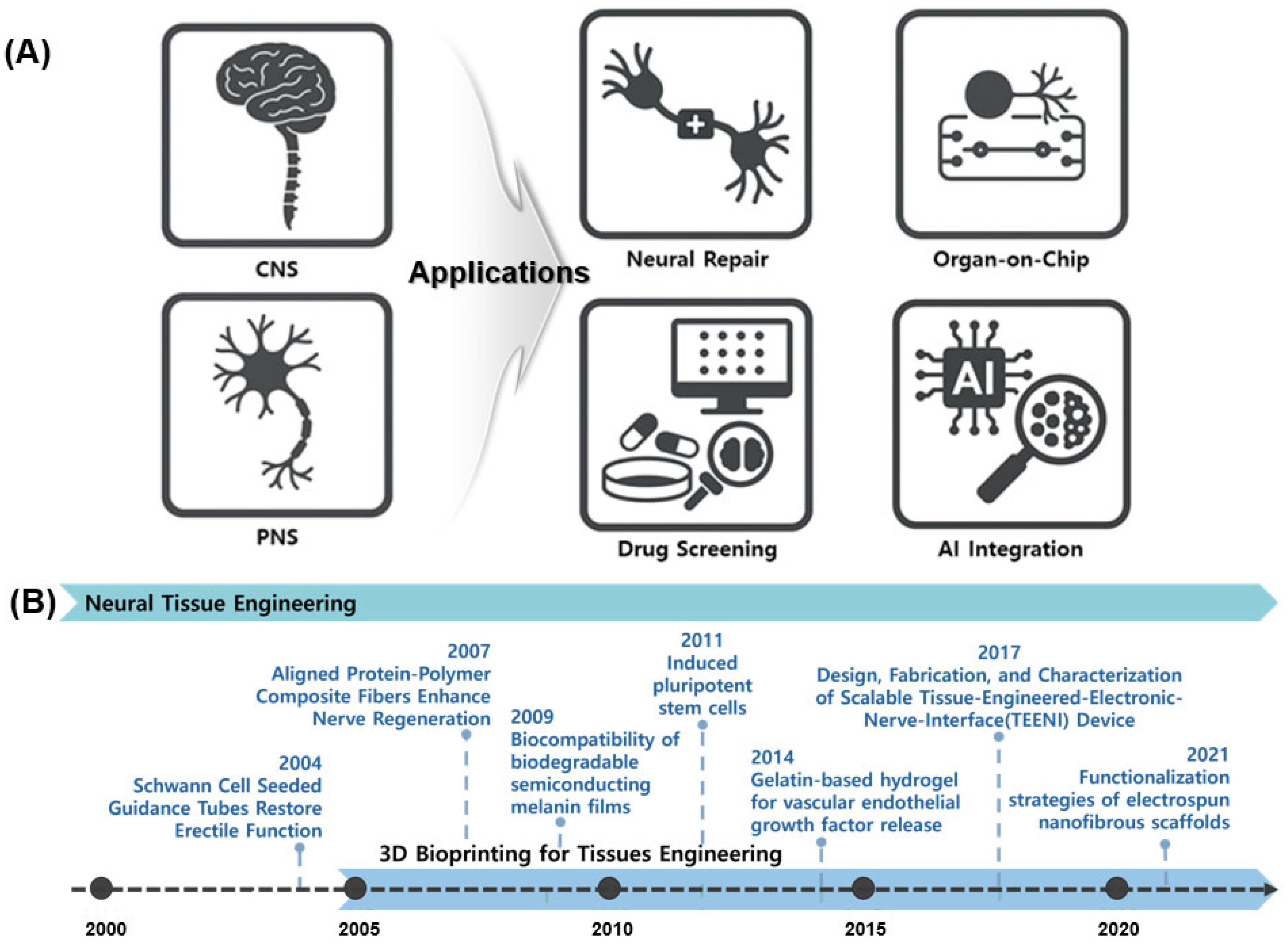 Pharmaceutics 17 01176 g001 Pharmaceutics 17 01176 g001