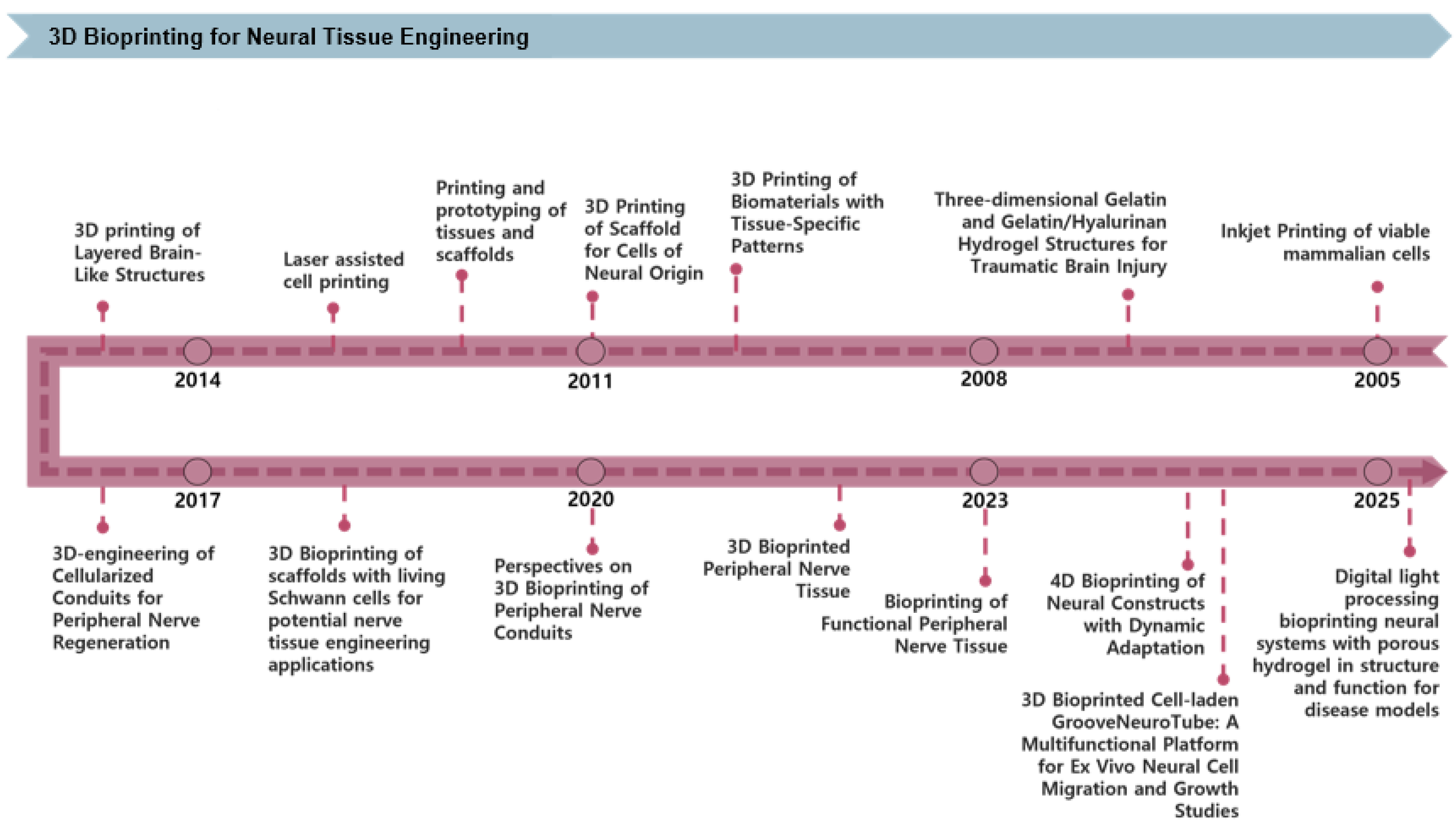 Pharmaceutics 17 01176 g002 Pharmaceutics 17 01176 g002