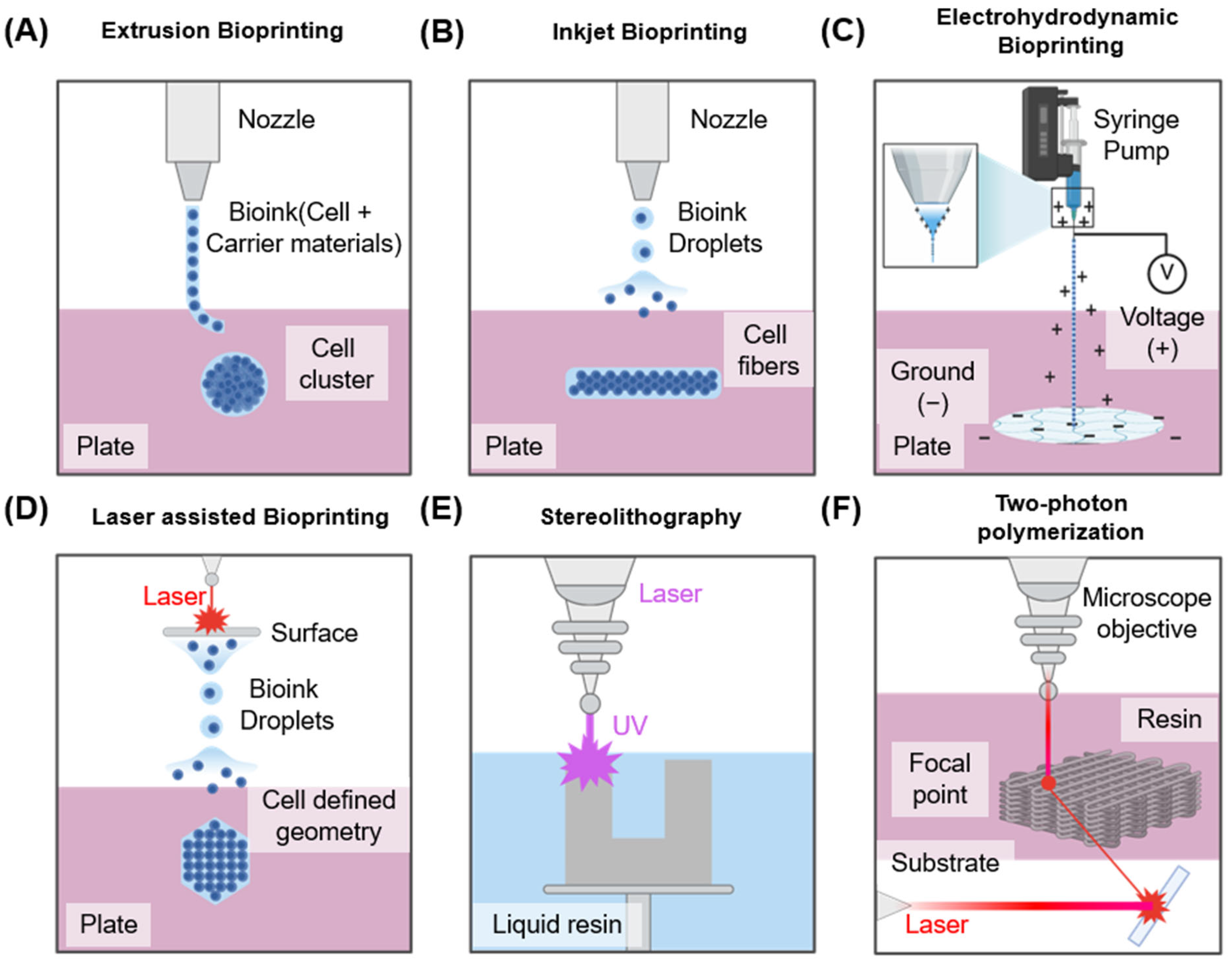 Pharmaceutics 17 01176 g003 Pharmaceutics 17 01176 g003
