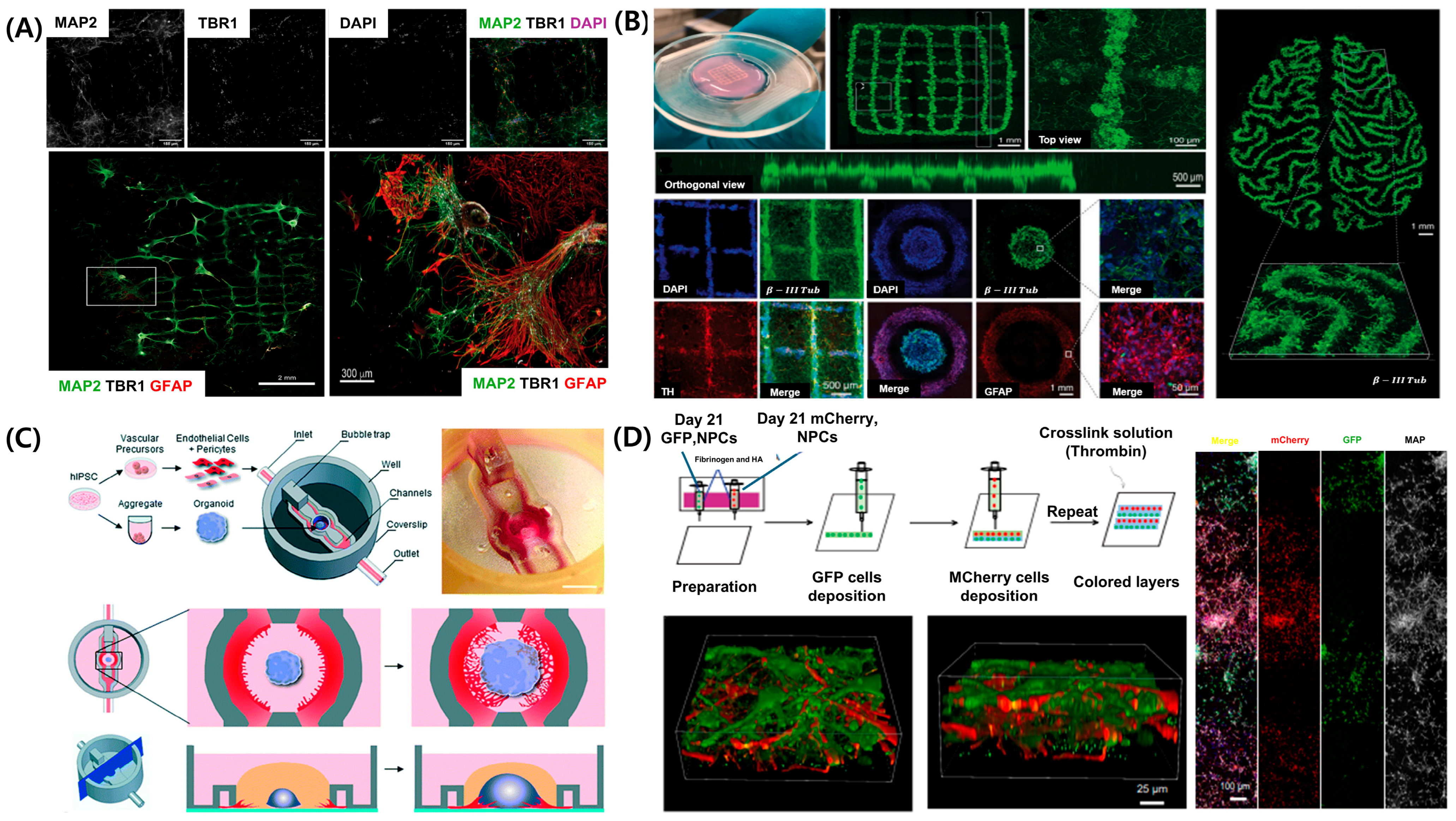 Pharmaceutics 17 01176 g005 Pharmaceutics 17 01176 g005